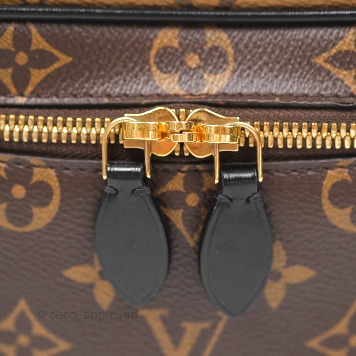 Louis Vuitton Reverse Monogram Vanity PM