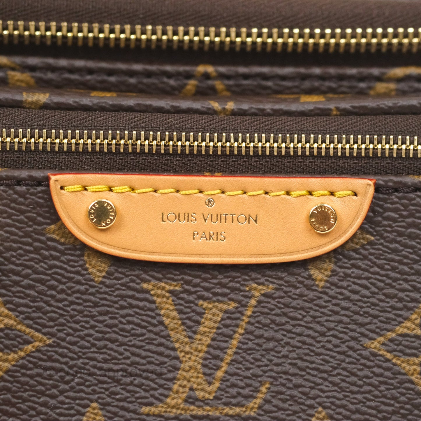 Louis Vitton Mini Bumbag in Monogram Canvas