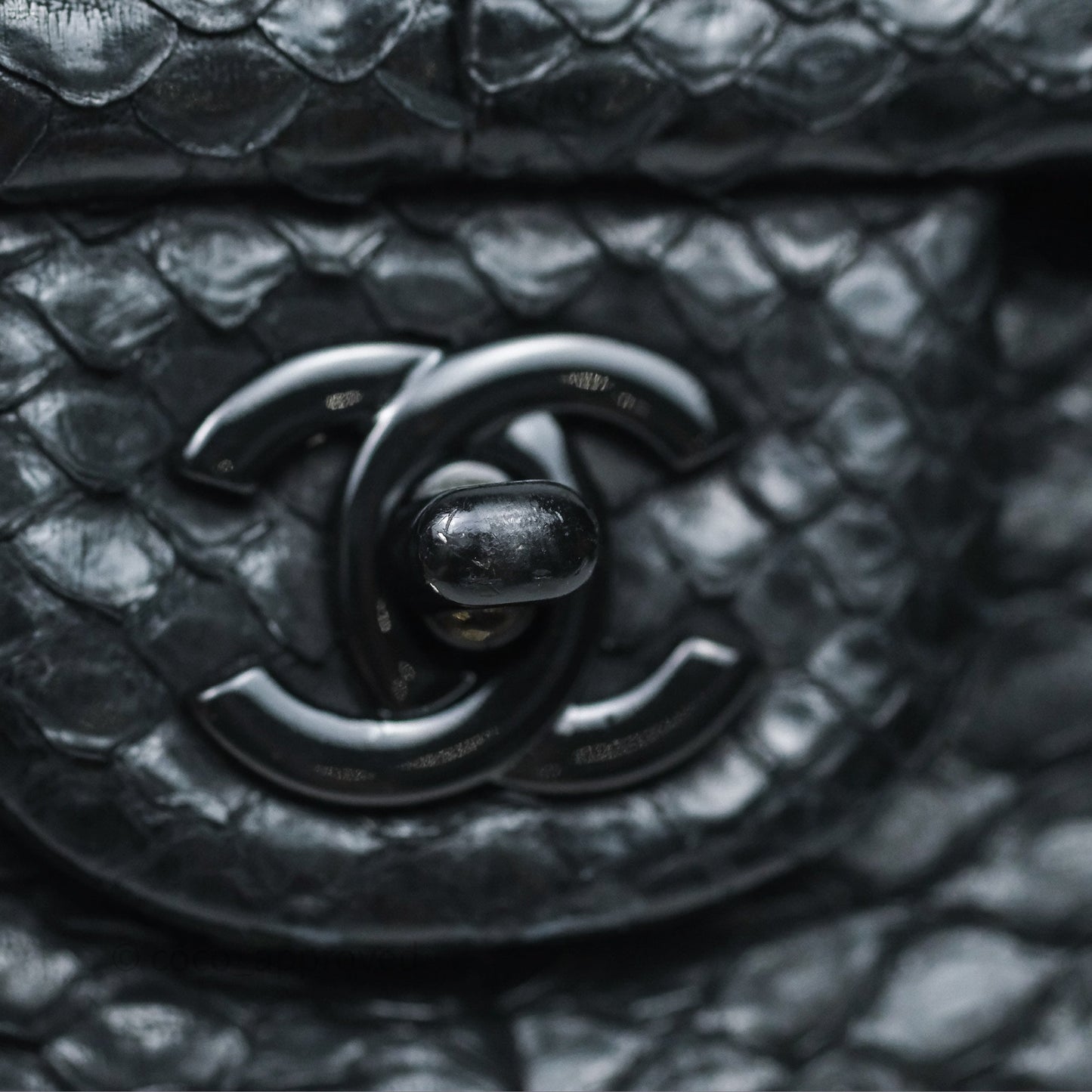 Chanel Classic M/L Medium Flap So Black Python Black Hardware