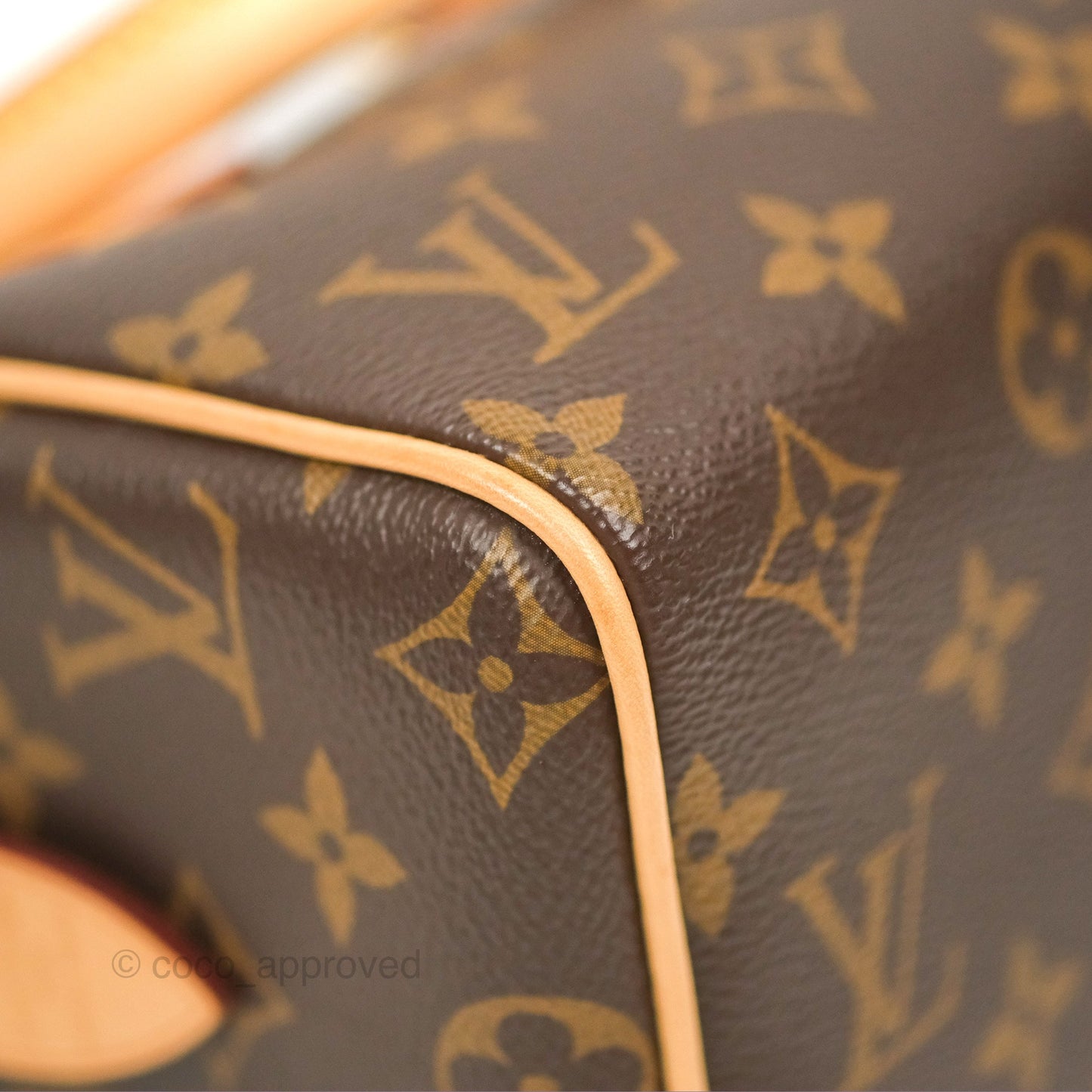Louis Vuitton Speedy Bandoulière 20 Monogram