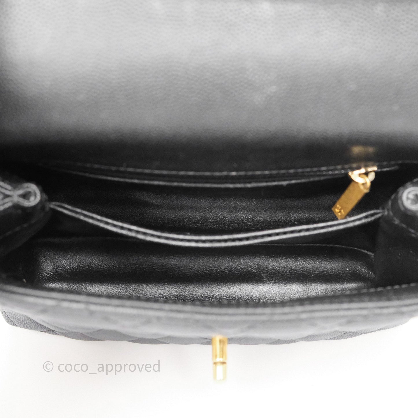 Chanel Small Coco Handle Black Caviar Gold Hardware Lizard Embossed Handle