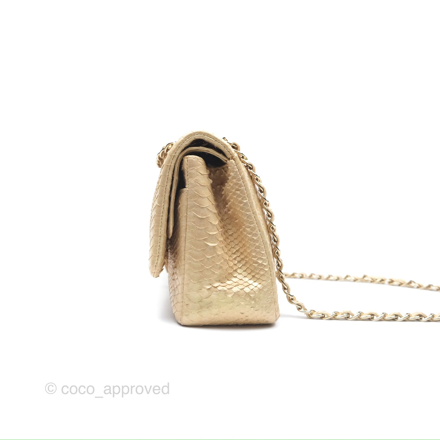 Chanel Jumbo Double Flap Iridescent Gold Python Gold Hardware⁣⁣