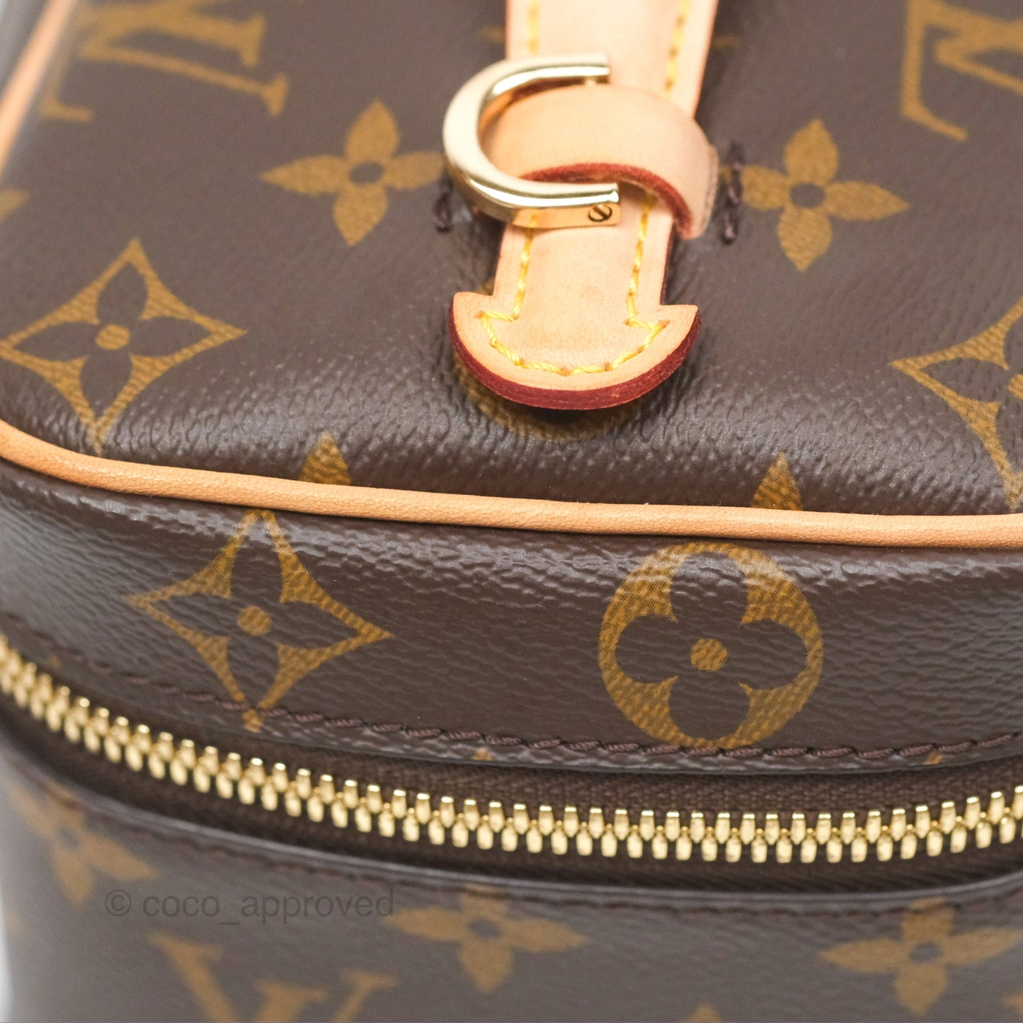 Louis Vuitton Monogram Nice Mini