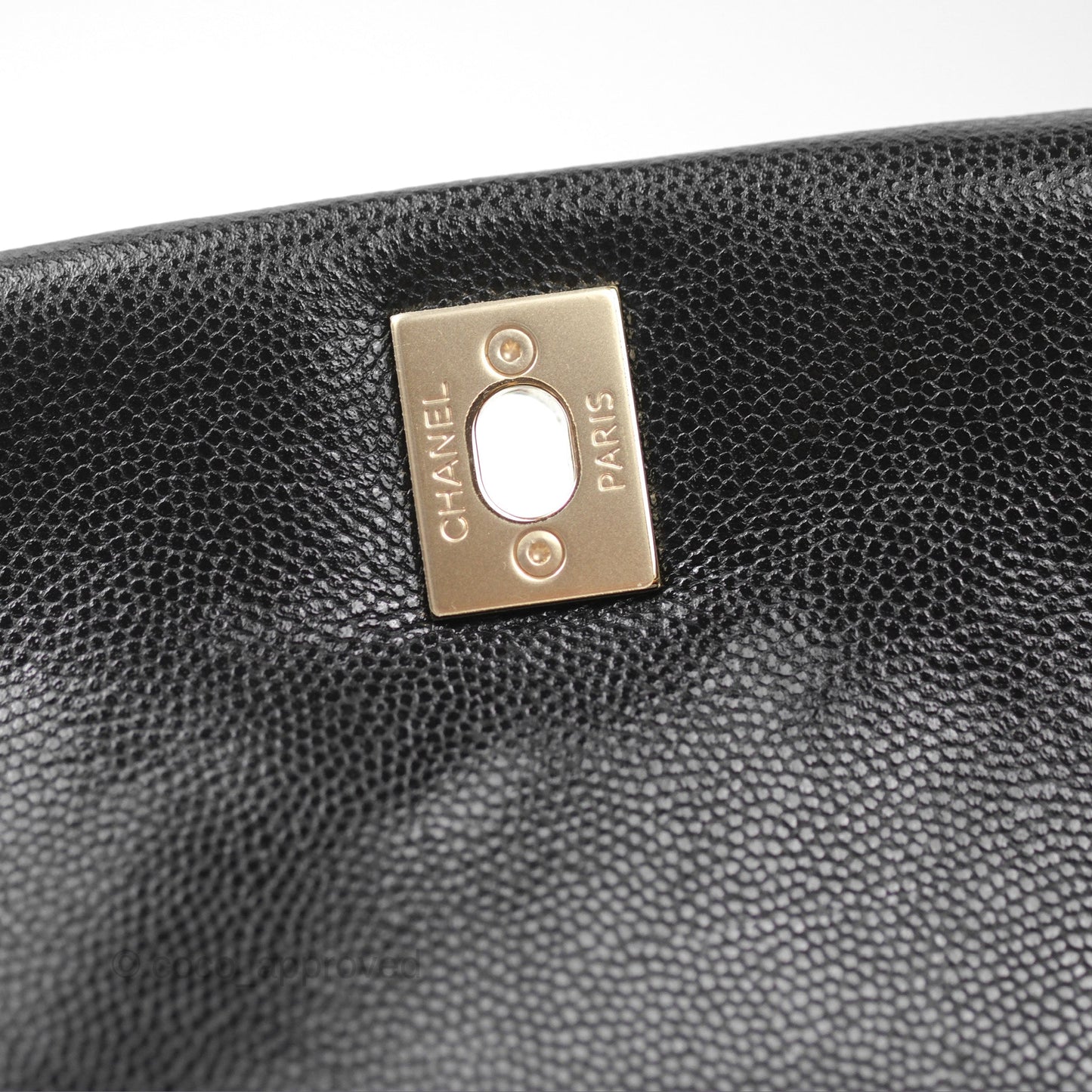 Chanel Small Coco Handle Black Caviar Gold Hardware Lizard Embossed Handle