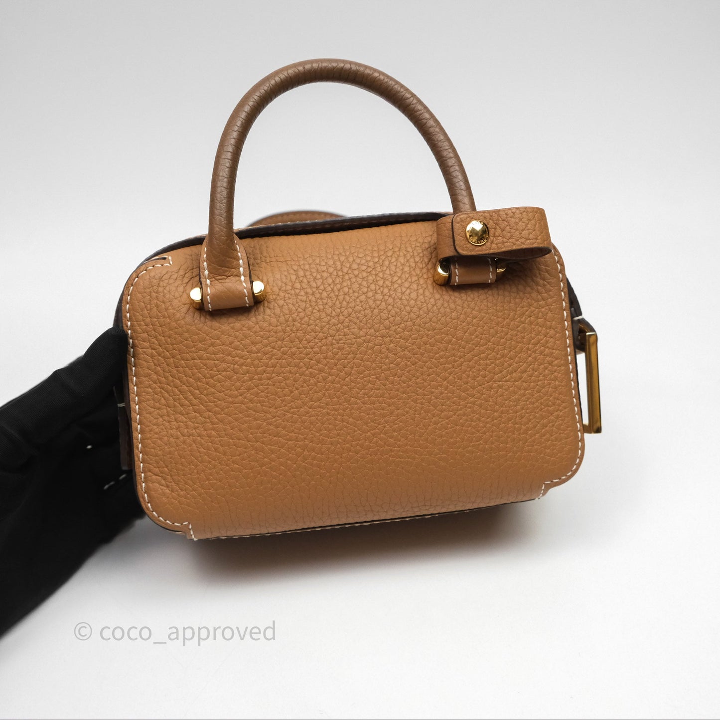 Delvaux Cool Box Nano Taurillon Soft Grained Calfskin Vegetal Ivory Gold Hardware