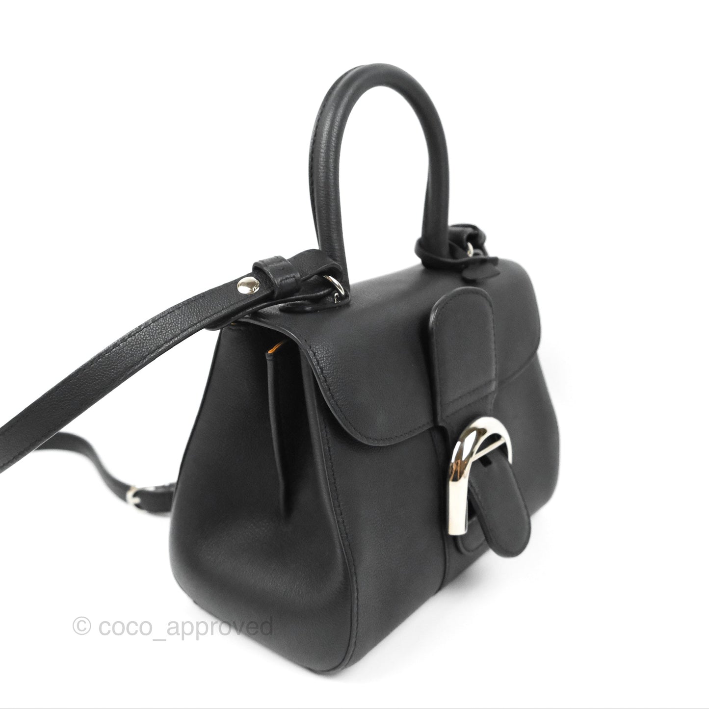 Delvaux Mini Brillant Bag Vegetal Rodeo Black Calf Silver Hardware