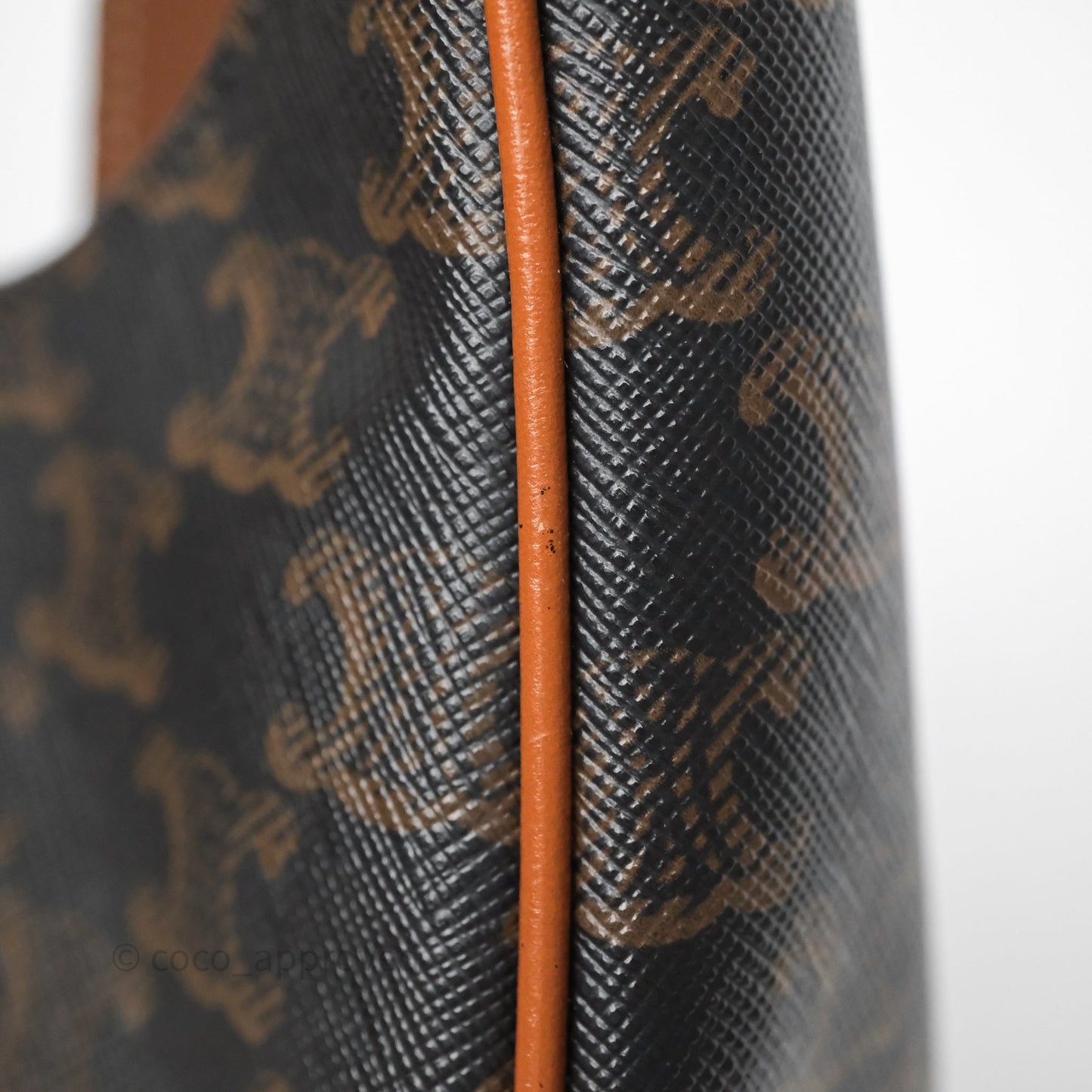 Celine Medium Ava Bag In Triomphe Canvas Calfskin Tan