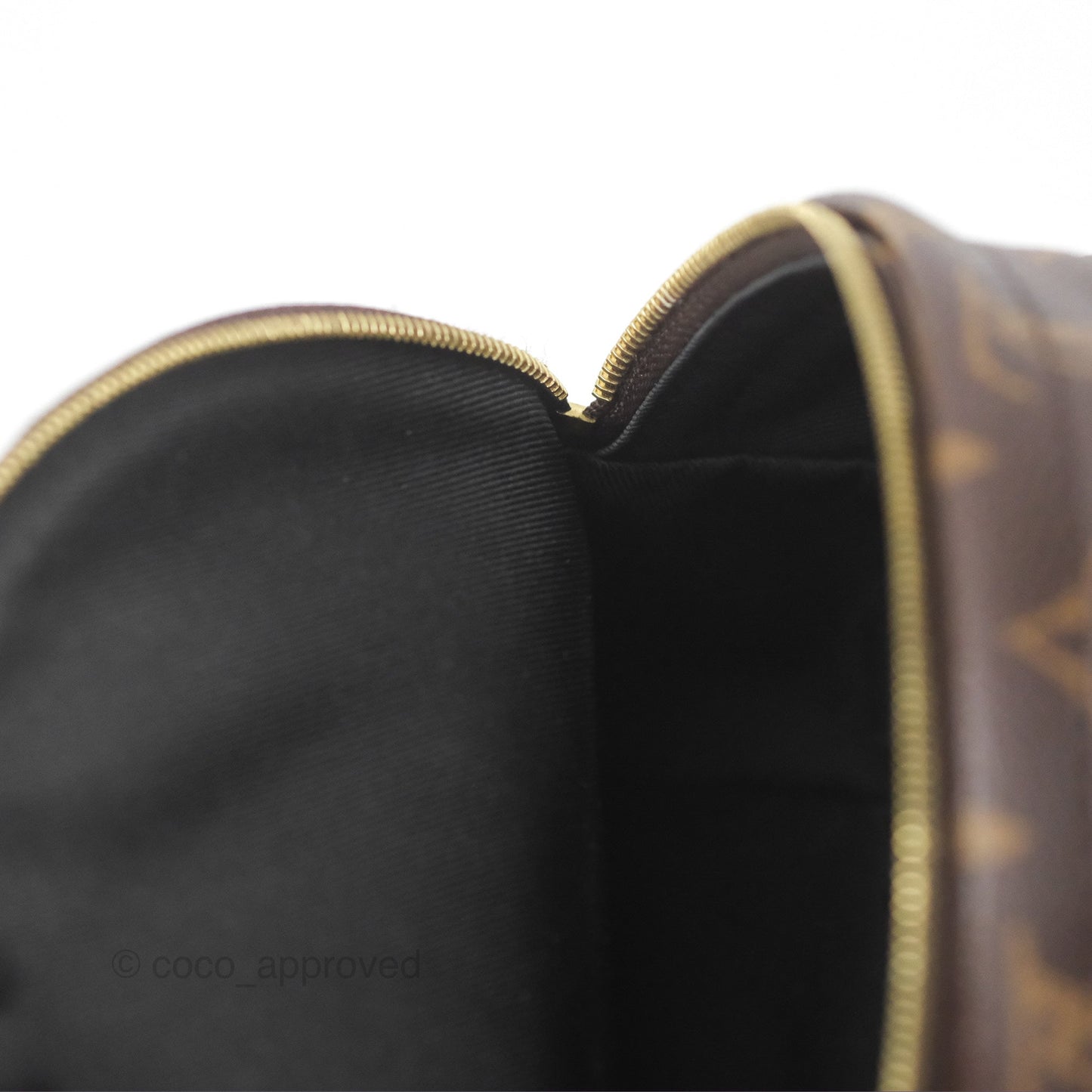 Louis Vuitton Monogram Mini Palm Springs Backpack⁣