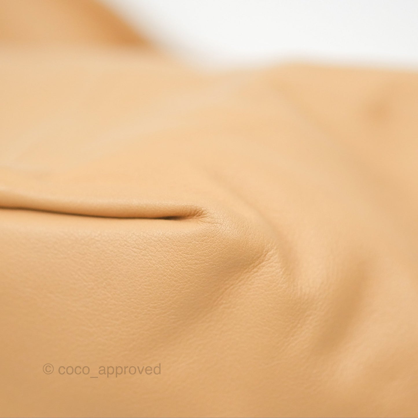Bottega Veneta Teen Double Knot Hobo Almond Calfskin