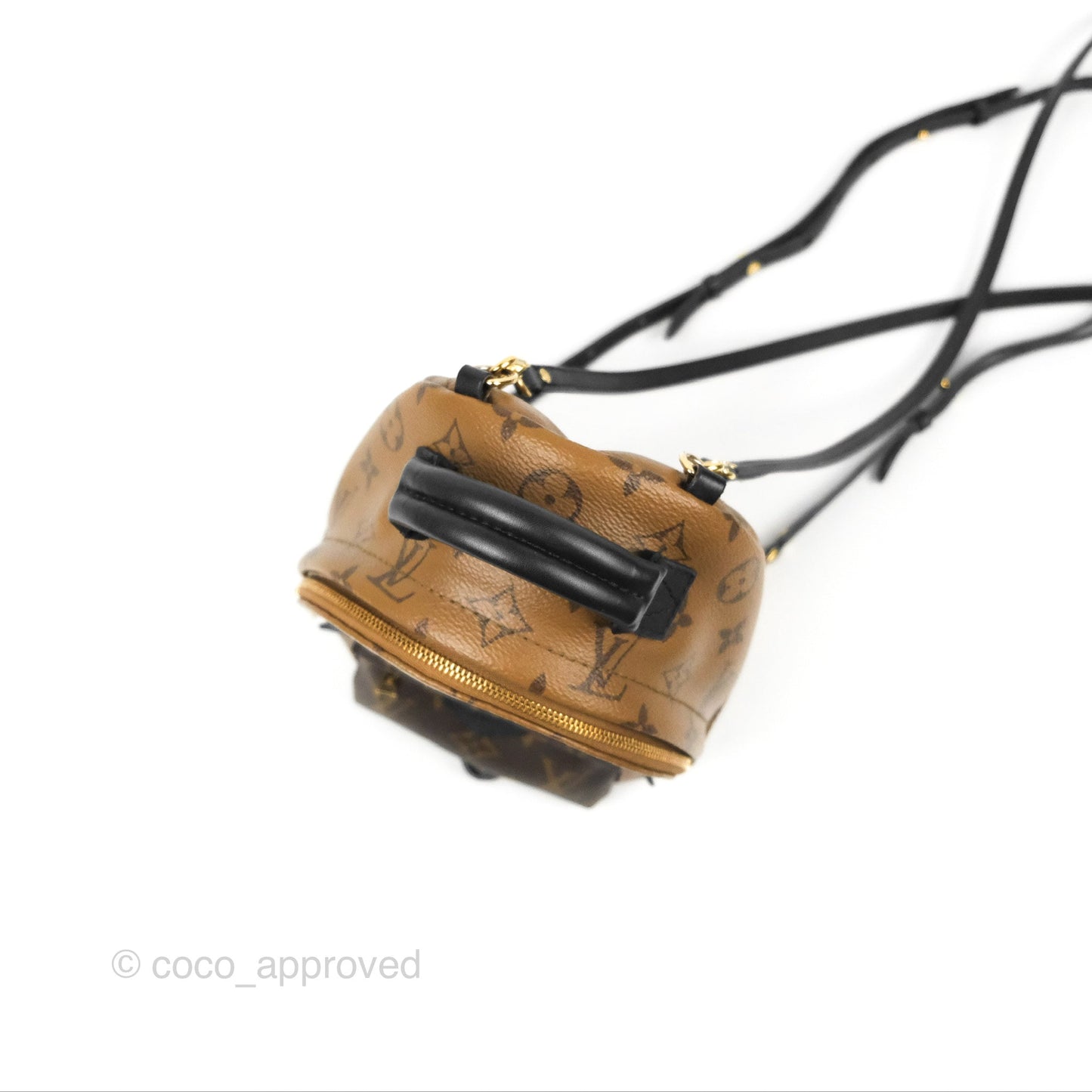 Louis Vuitton Reverse Mini Palm Springs Backpack⁣