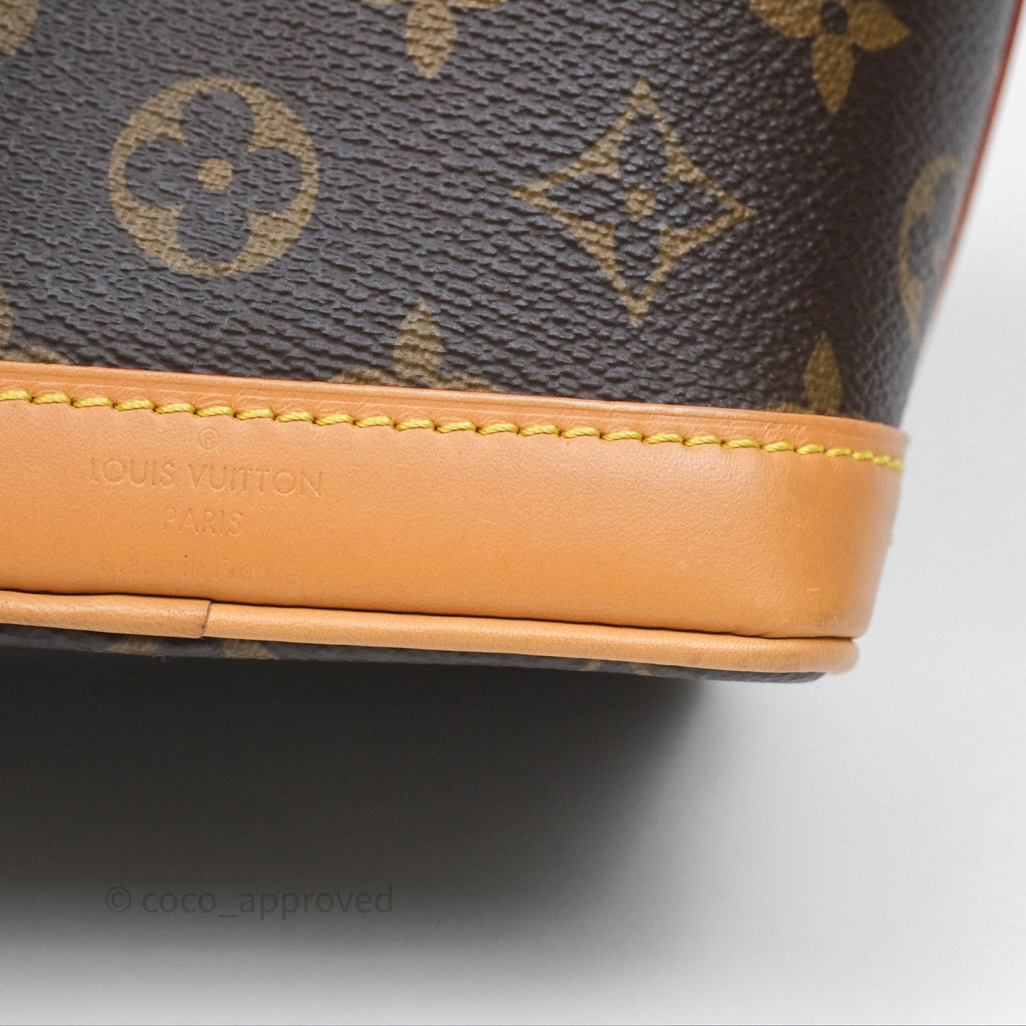 Louis Vuitton Nano Noe Monogram