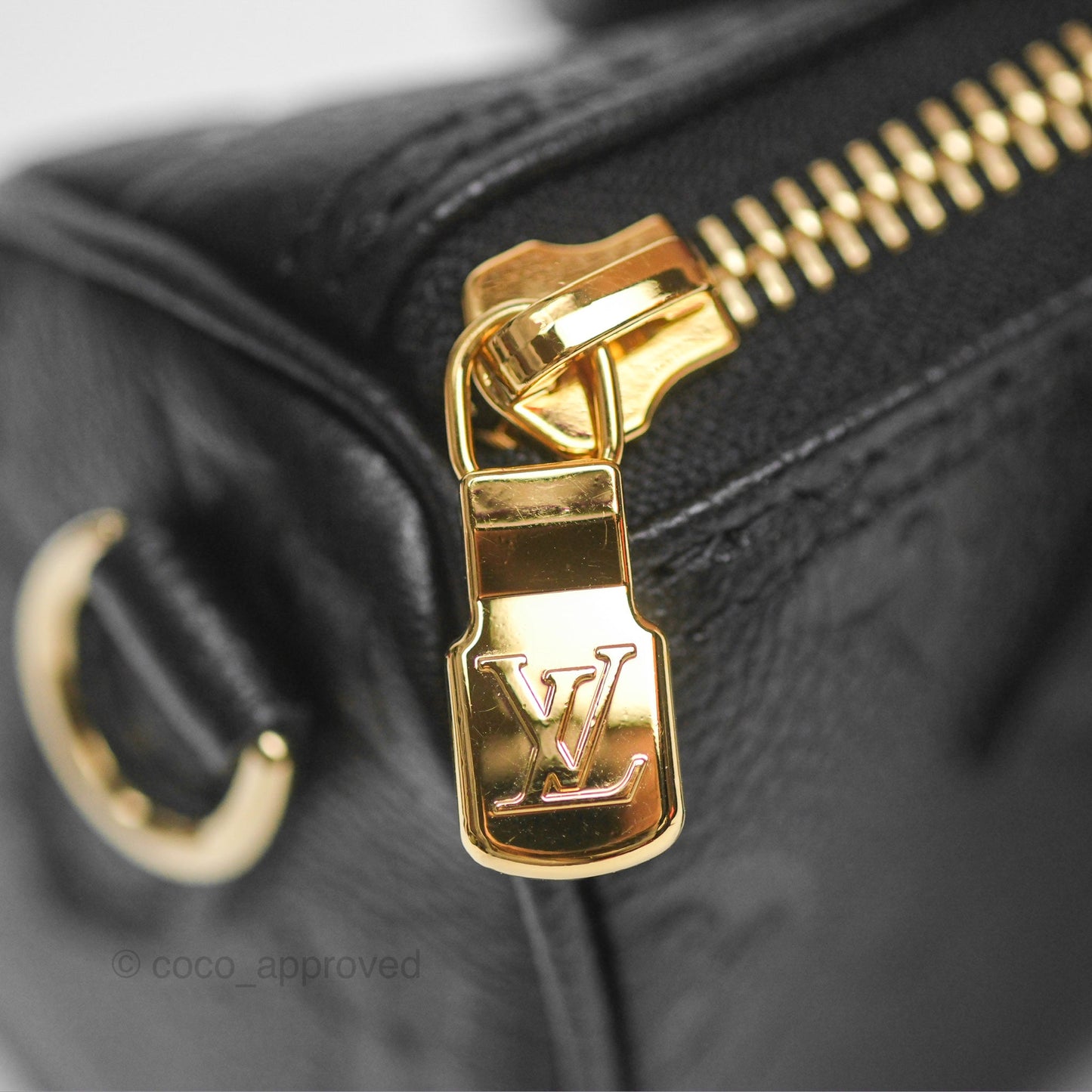 Louis Vuitton Nano Speedy Monogram Empreinte Black