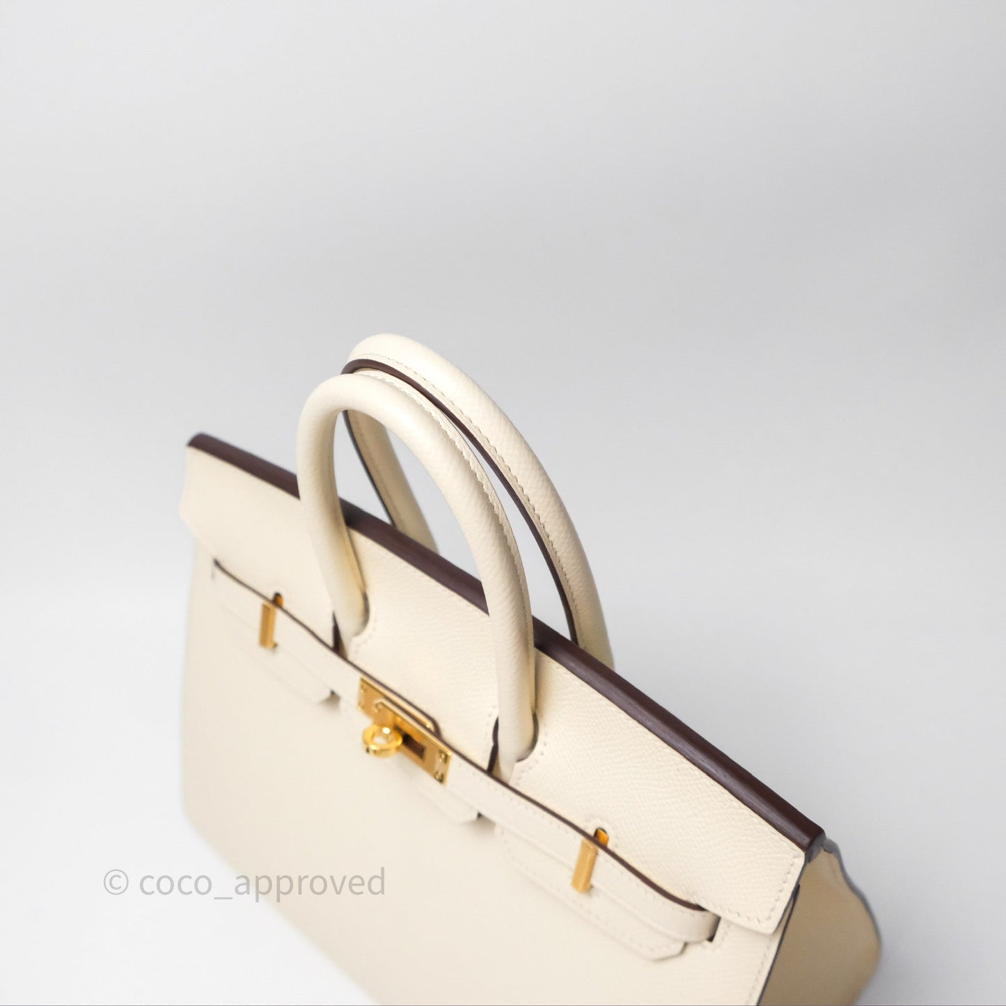 Hermès Birkin 25 Sellier Nata I2 Epsom Gold Hardware