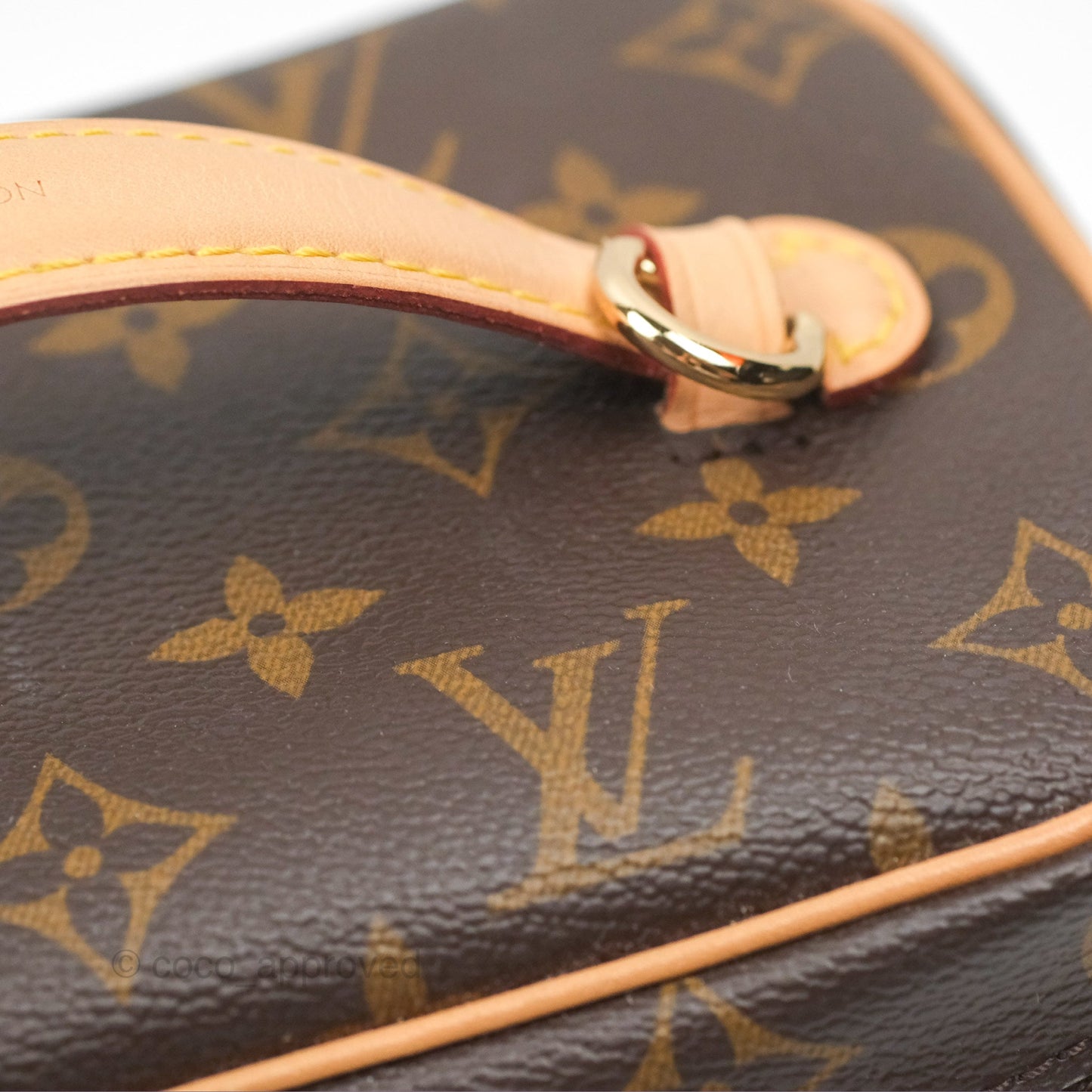 Louis Vuitton Monogram Nice Mini
