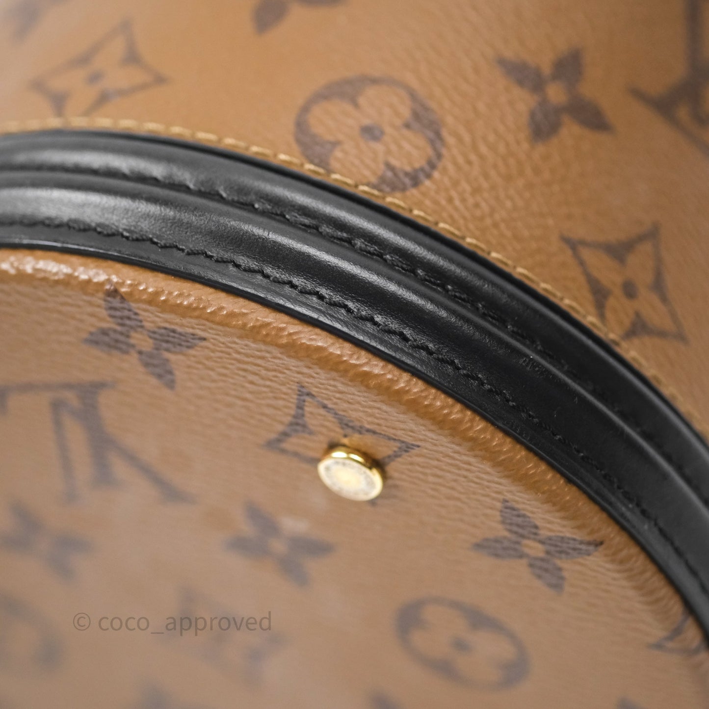 Louis Vuitton Monogram Canvas Reverse Cannes Bag