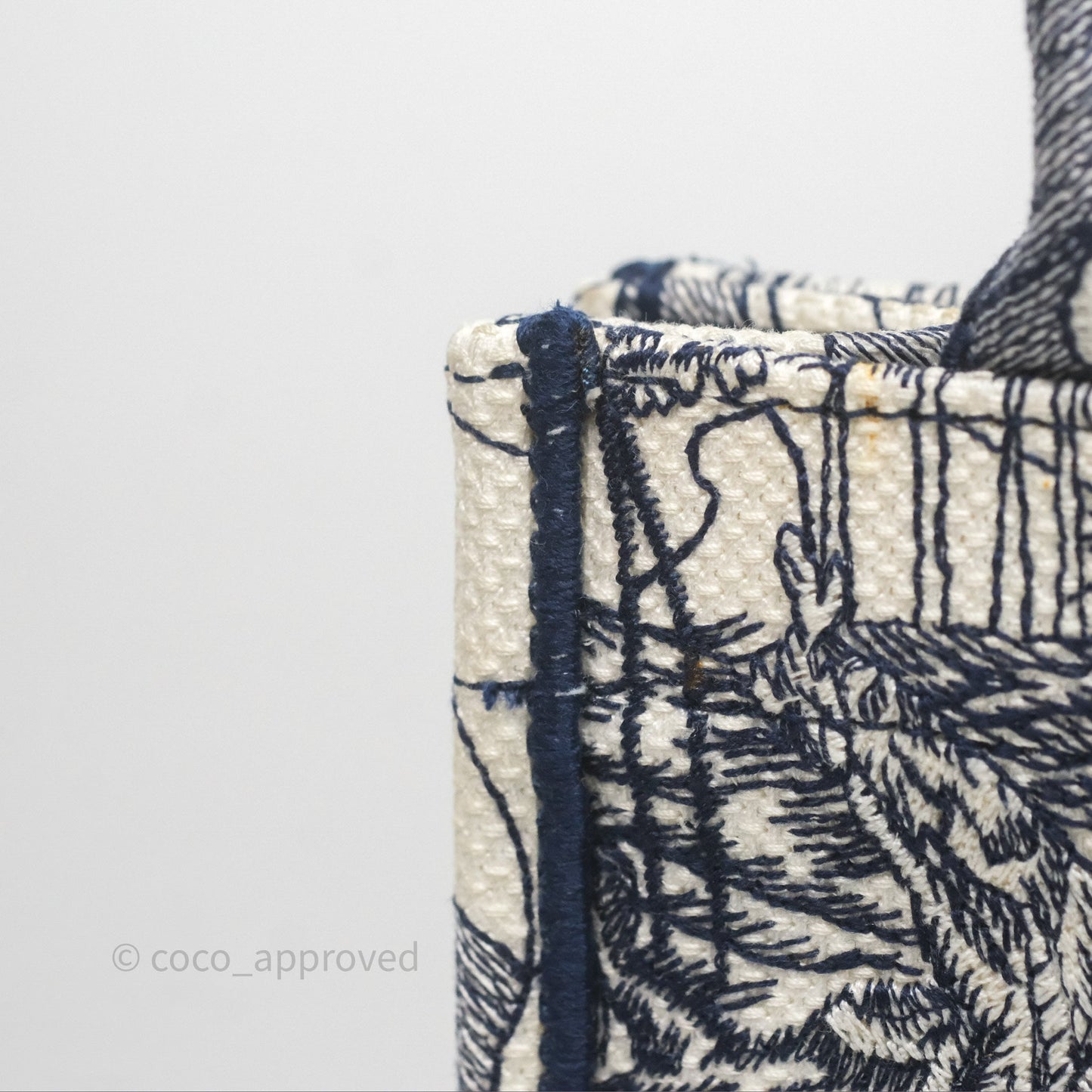 Dior Around The World Vertical Book Tote Blue White