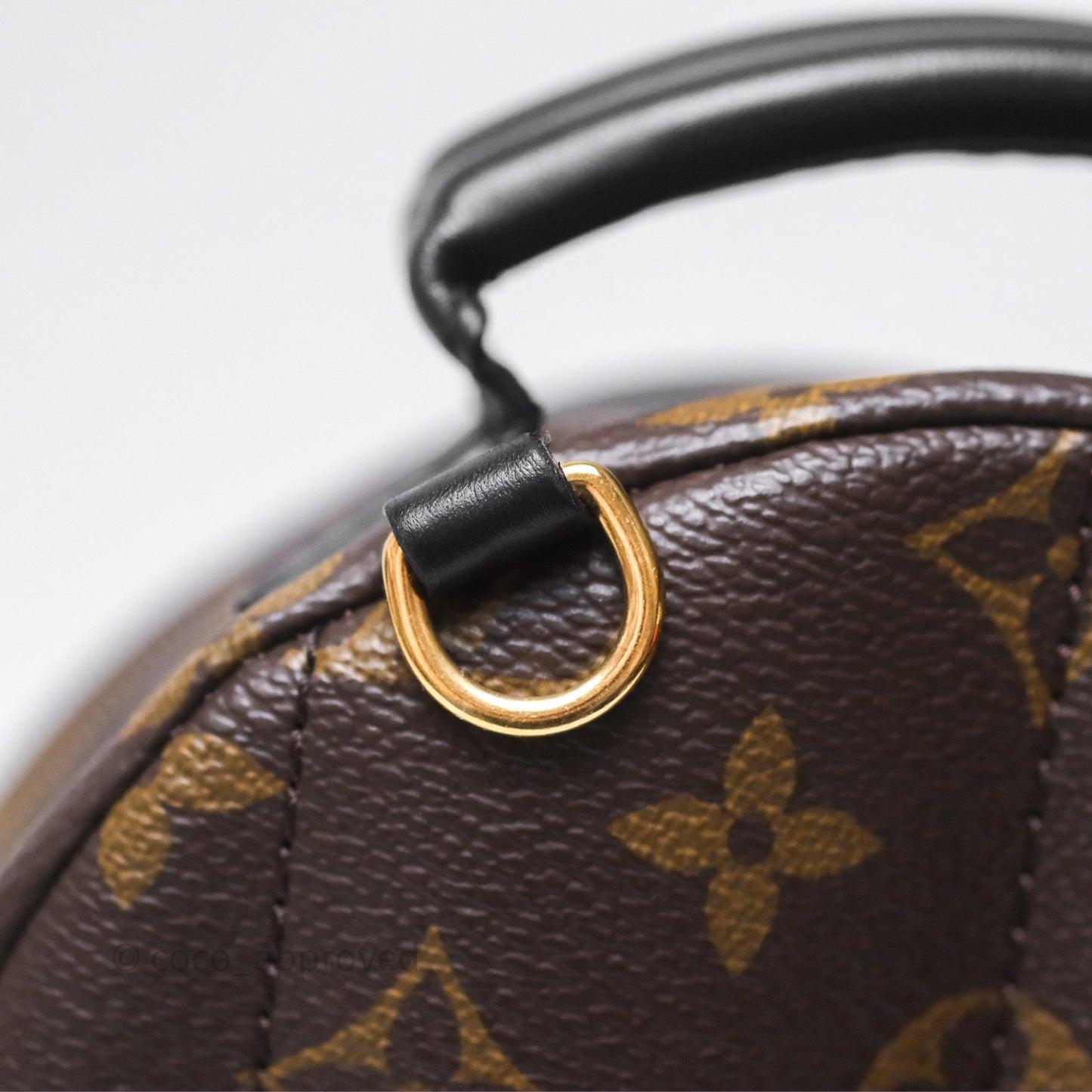 Louis Vuitton Mini Palm Springs Backpack⁣ Monogram