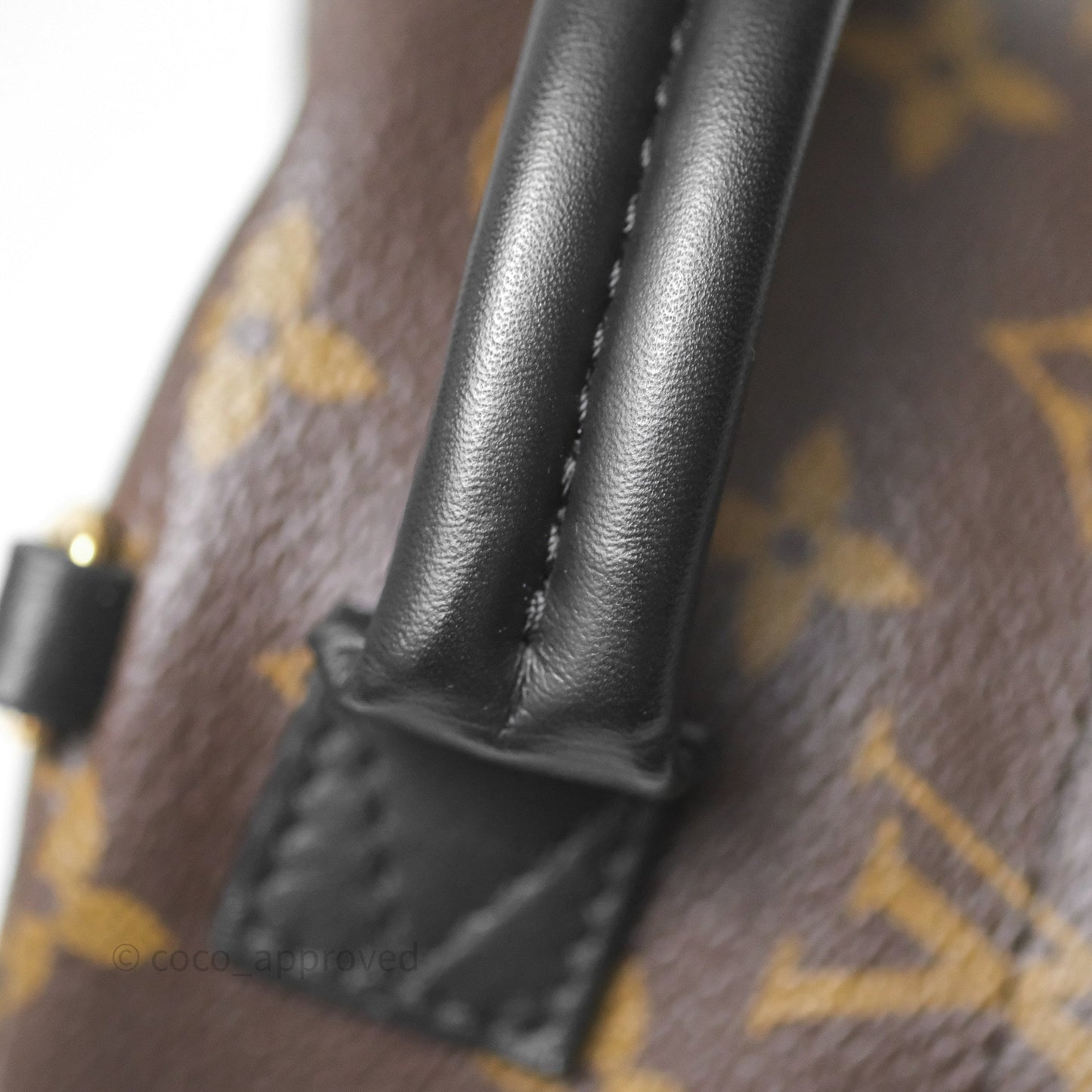 Louis Vuitton Mini Palm Springs Backpack⁣ Monogram