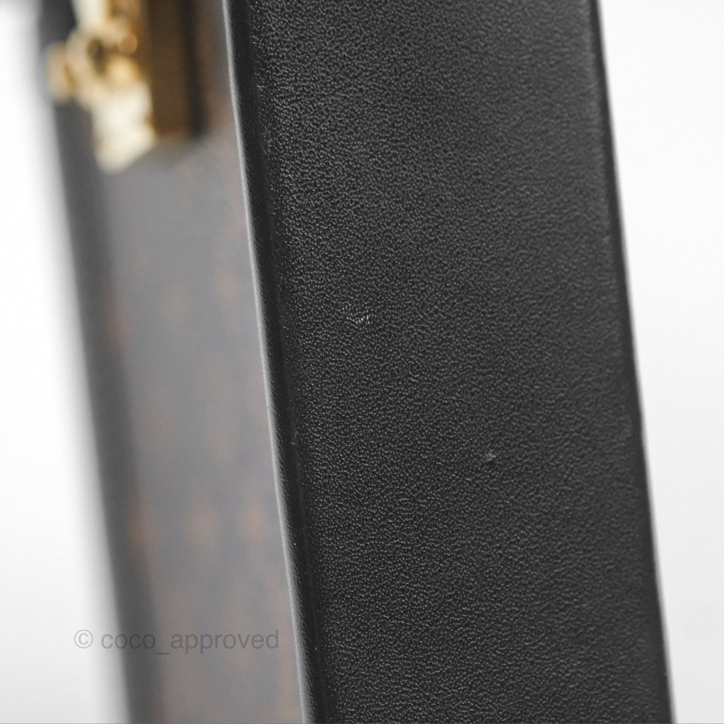 Louis Vuitton Monogram Vertical Trunk Pochette
