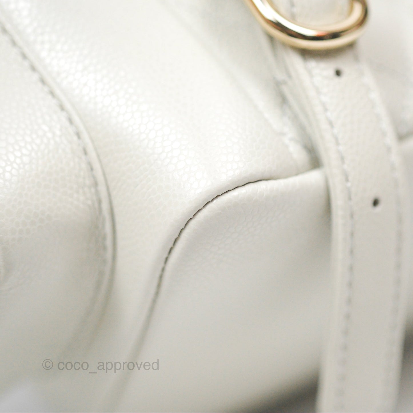 Chanel Small Duma Backpack Caviar Pale Grey Gold Hardware 23K