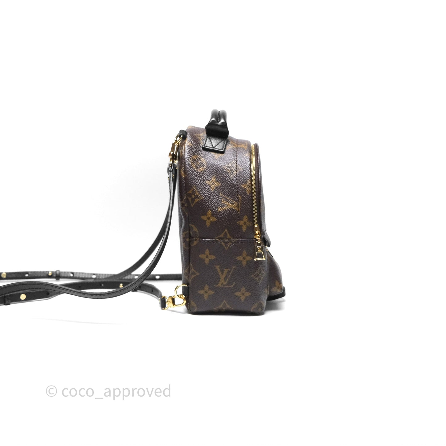 Louis Vuitton Monogram Mini Palm Springs Backpack⁣