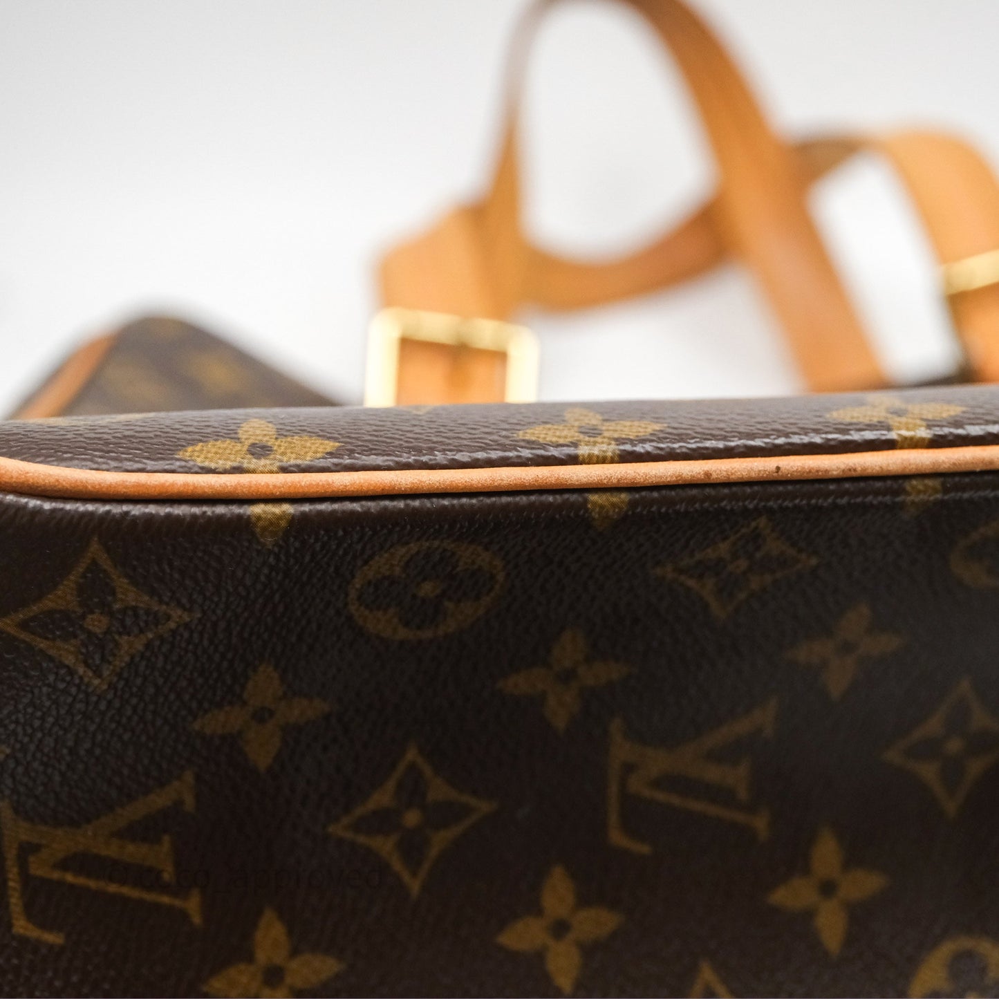 Louis Vuitton Multipli-Cite Tote Monogram Canvas