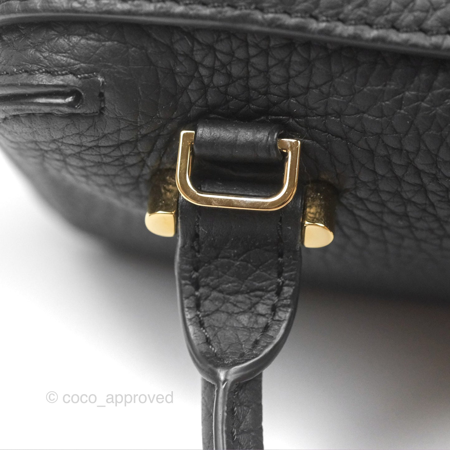 Delvaux Cool Box Nano Taurillon Soft Grained Calfskin Black Gold Hardware