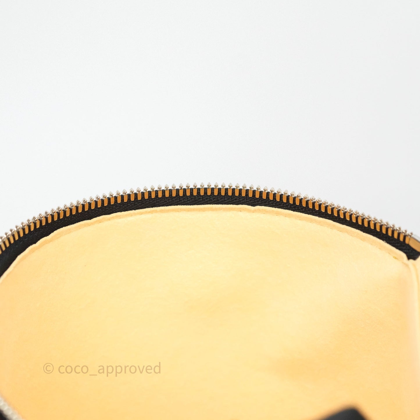 Louis Vuitton Cannes LV Pop Monogram