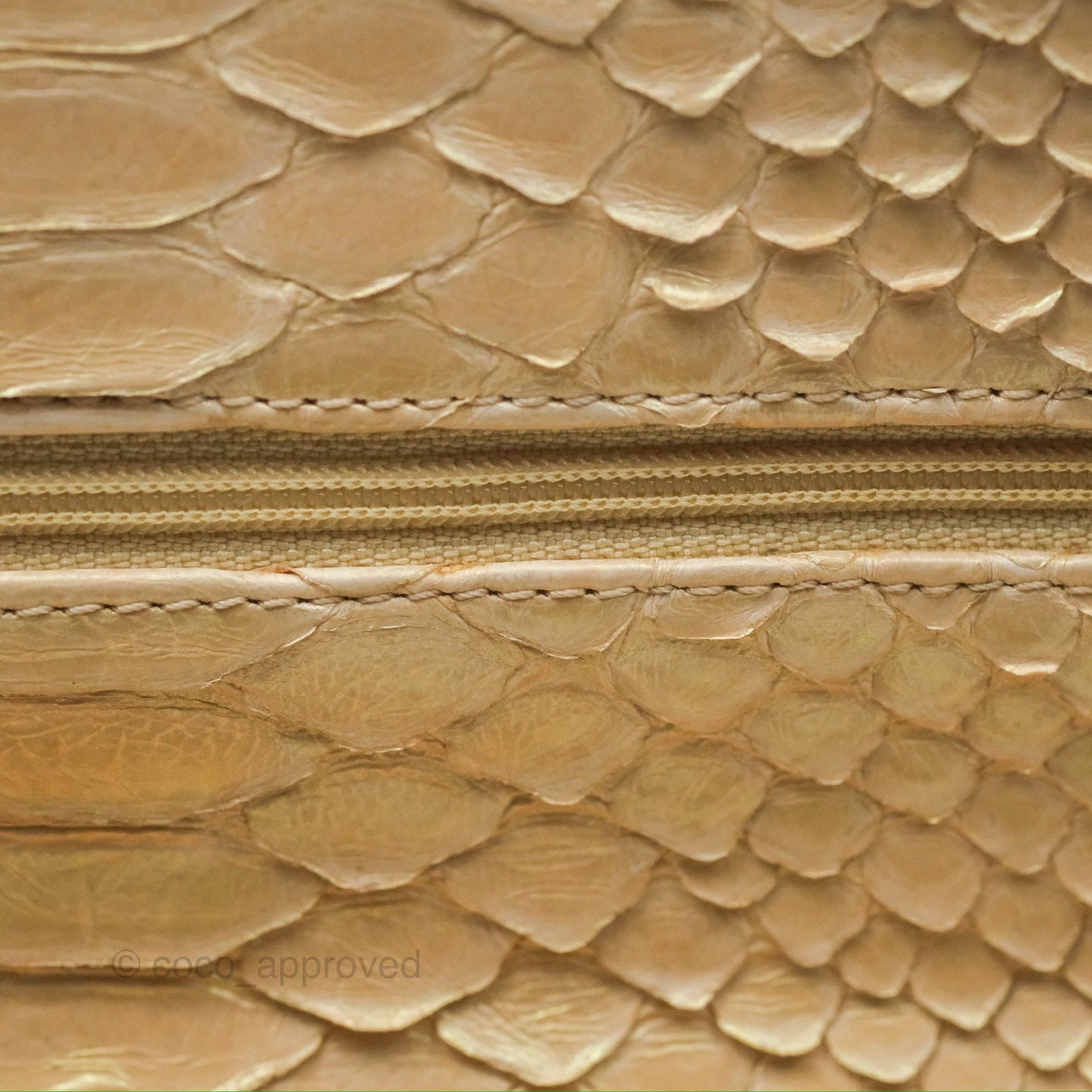 Chanel Jumbo Double Flap Iridescent Gold Python Gold Hardware⁣⁣