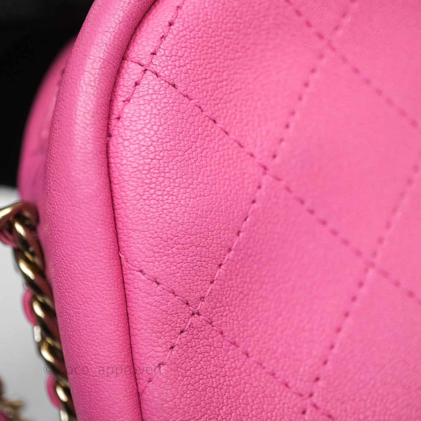 Chanel Camera Bag Pink Calfskin Aged Gold Hardware