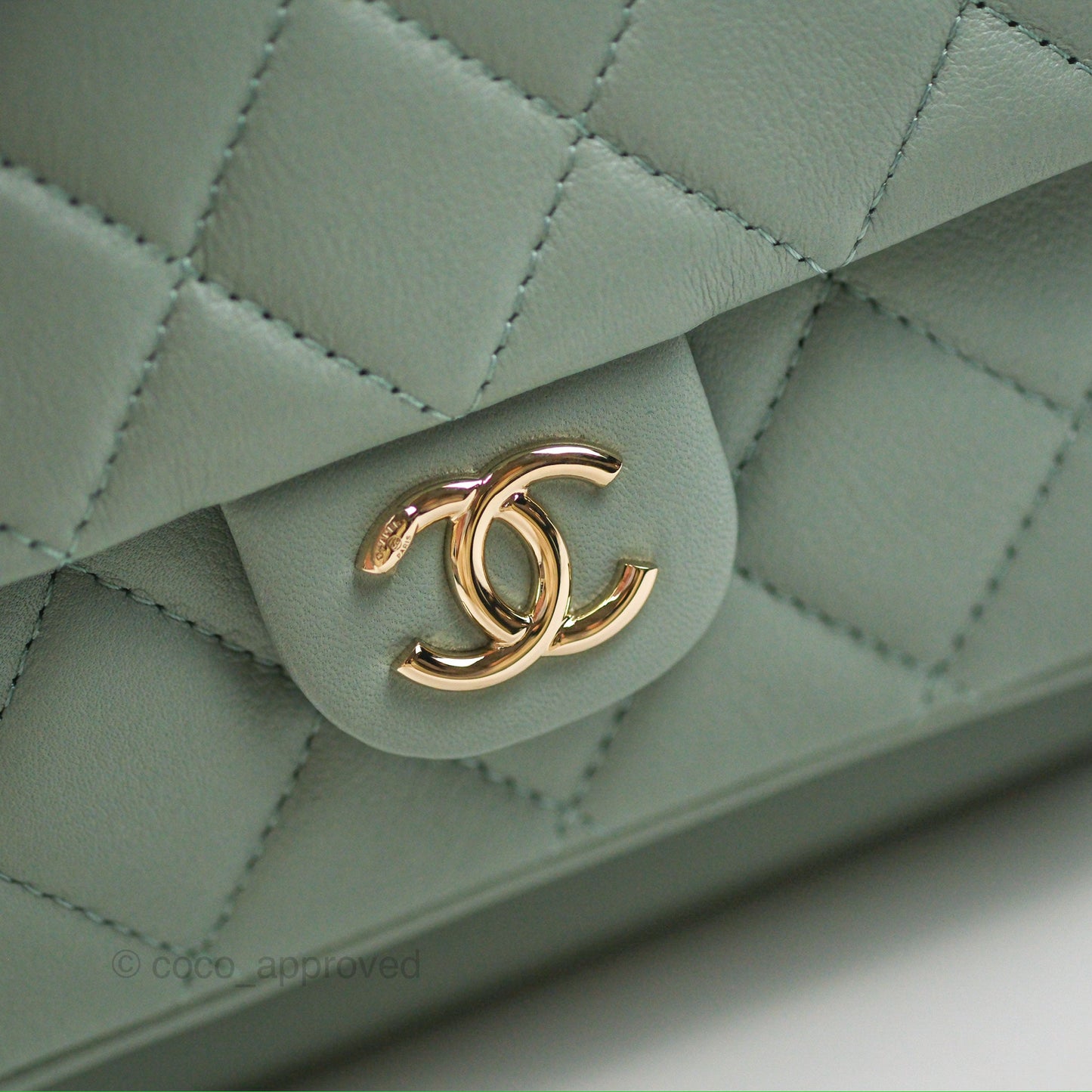 Chanel Quilted Large Duma Drawstring Backpack Tiffany Green Lambskin 23C