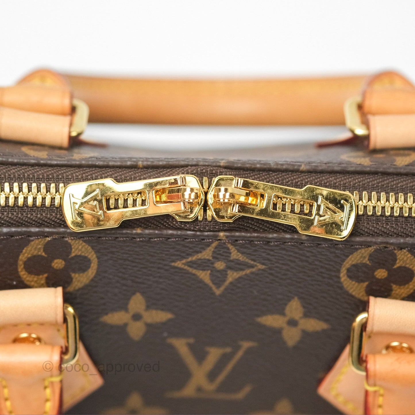 Louis Vuitton Speedy Bandoulière 20 Monogram
