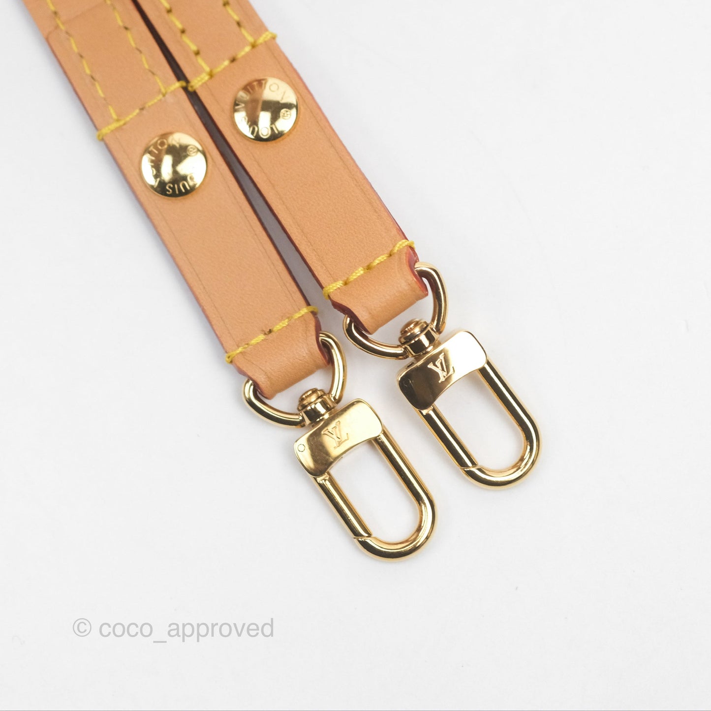 Louis Vuitton Ivy Wallet on Chain Monogram Canvas