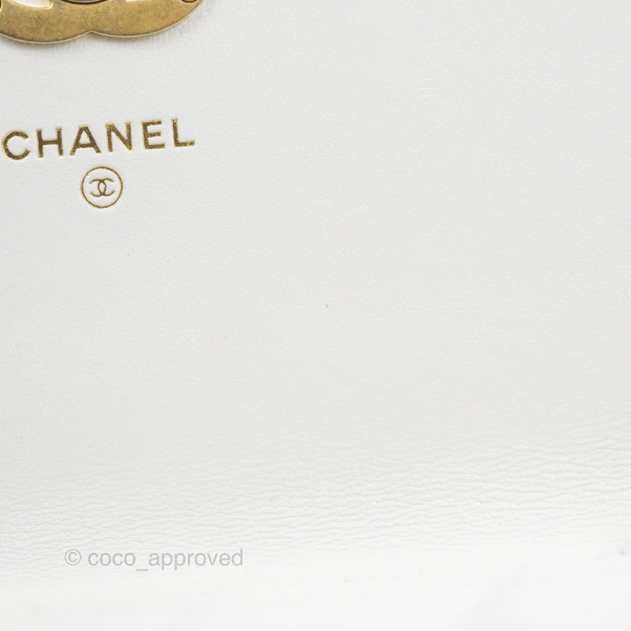 Chanel Mini Resin Chain Wallet on Chain WOC White Lambskin Gold Hardware