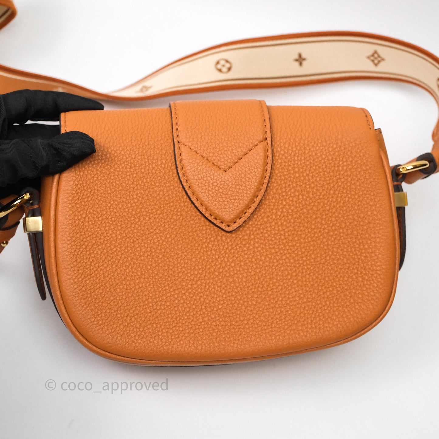Louis Vuitton Pont 9 Soft PM Brown Grained Calfskin Gold Hardware
