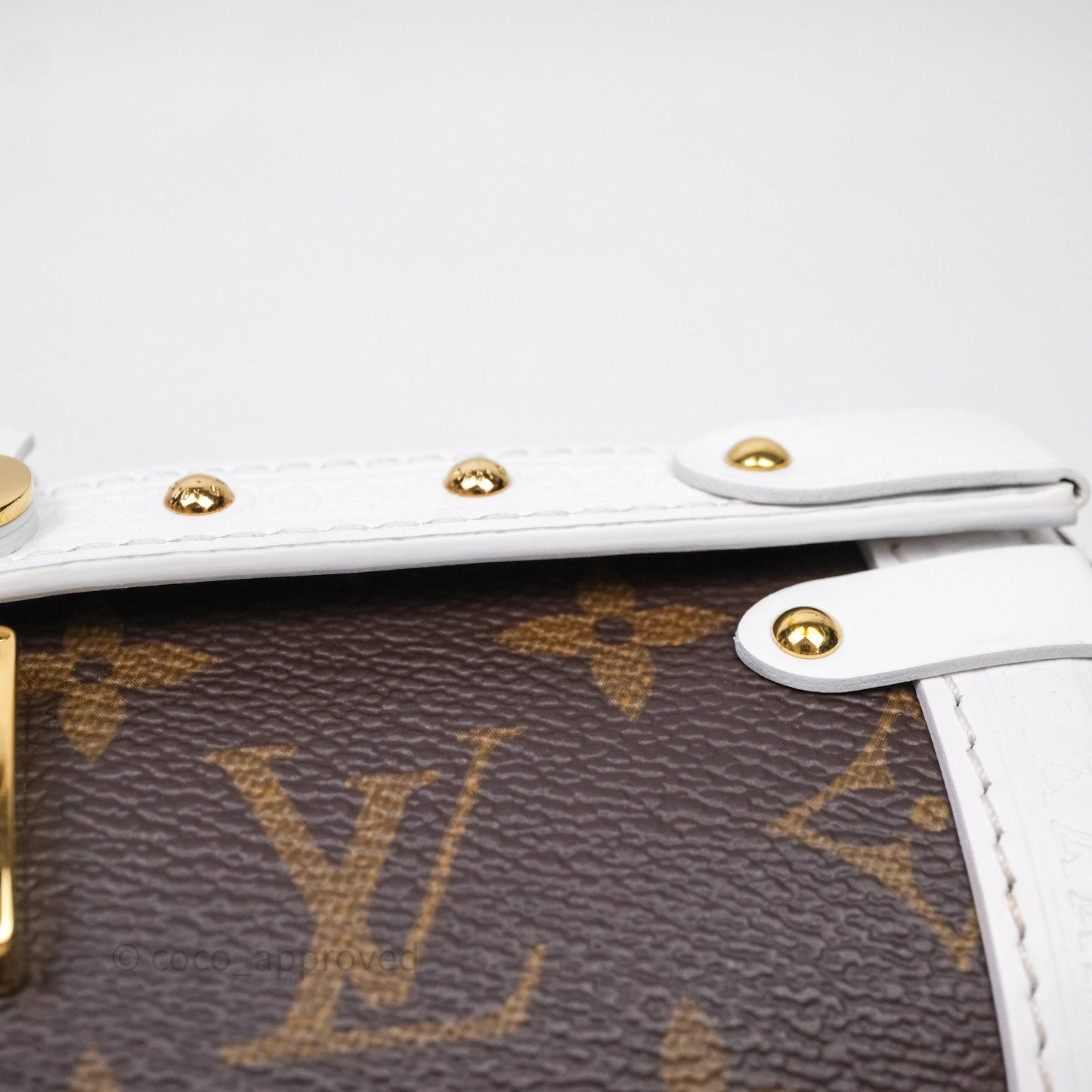 Louis Vuitton Monogram Papillon Trunk Bag