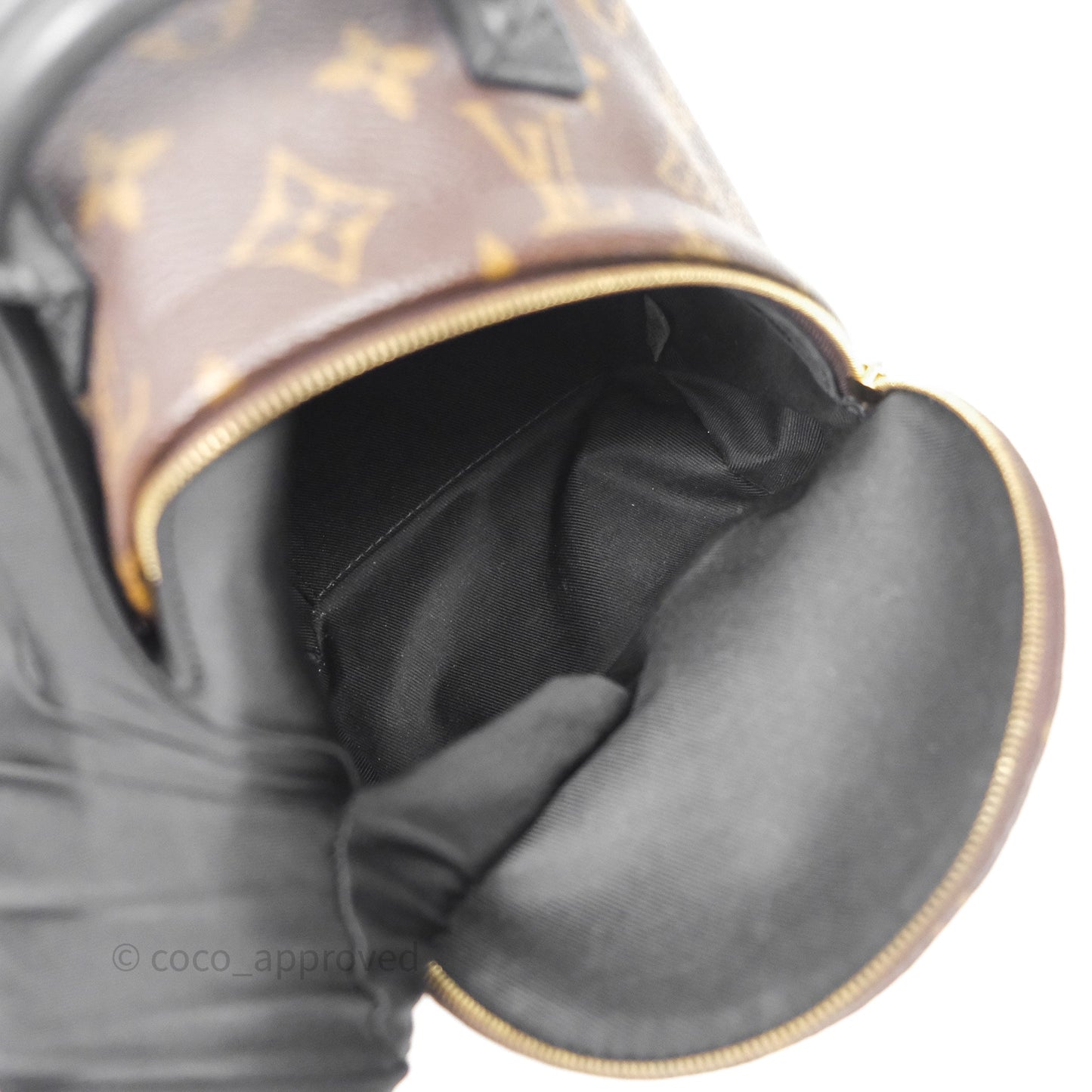 Louis Vuitton Mini Palm Springs Backpack⁣ Monogram