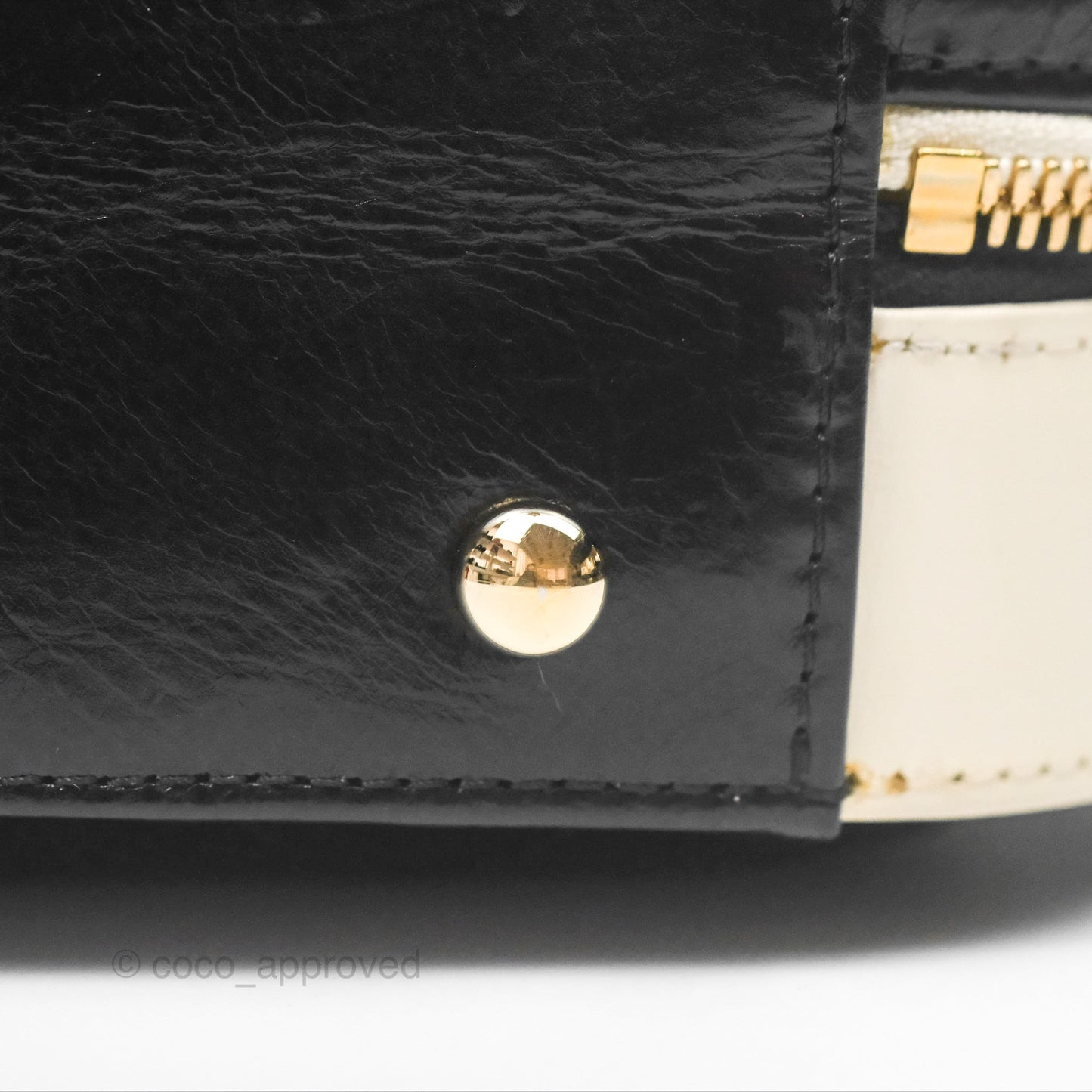 Chanel Camera Case Bag Black/White Calfskin Gold Hardware