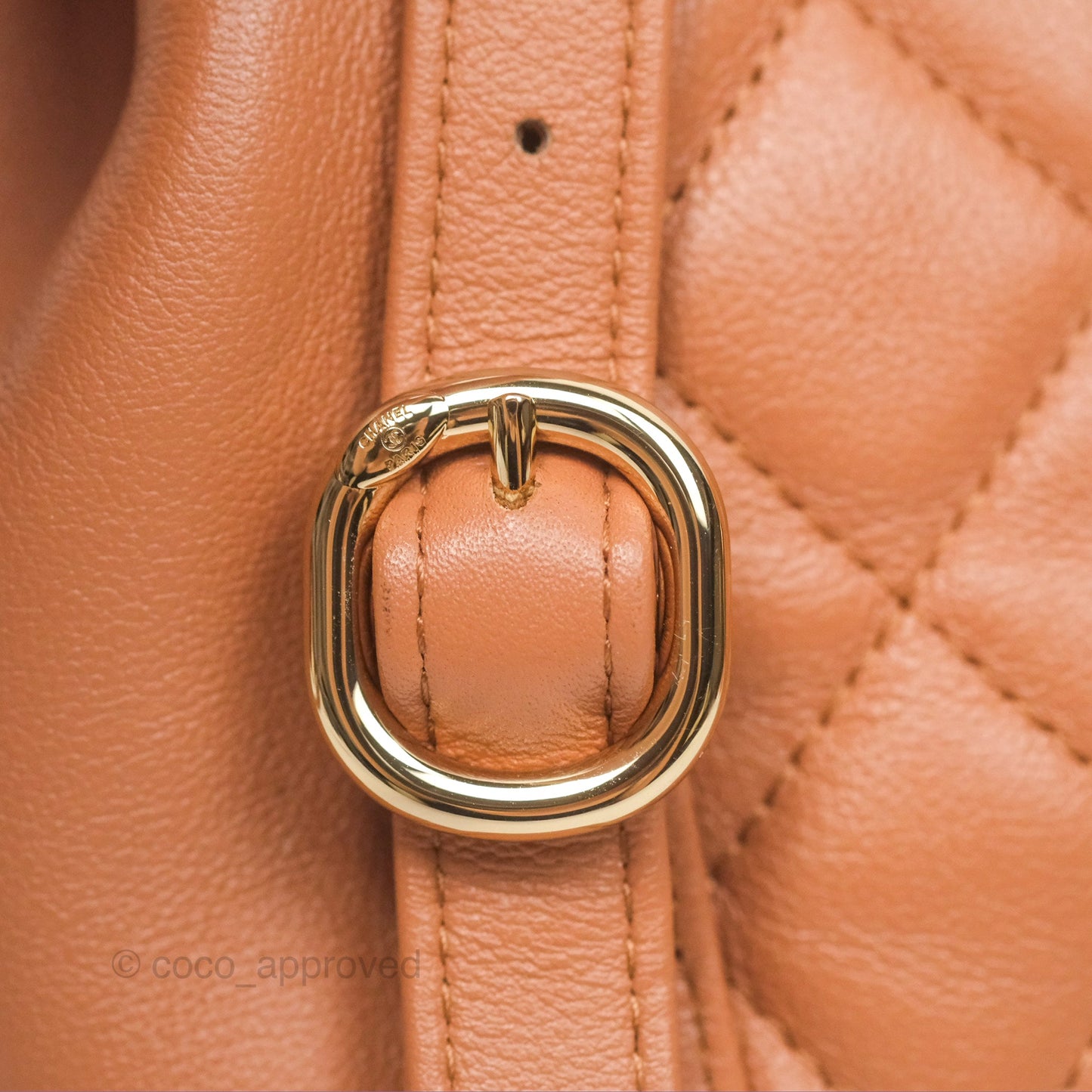 Chanel Small Duma Drawstring Backpack Camel Calfskin 24P