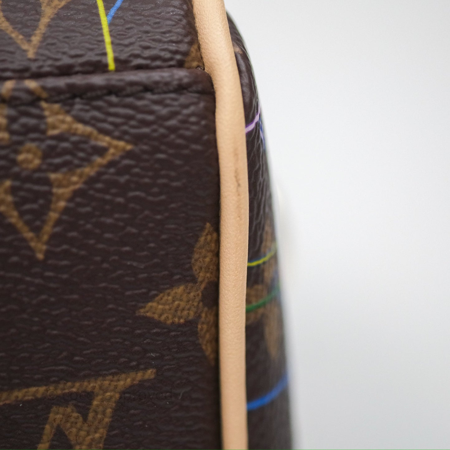 Louis Vuitton LV x Murakami Speedy Bandoulière 20 Monogram