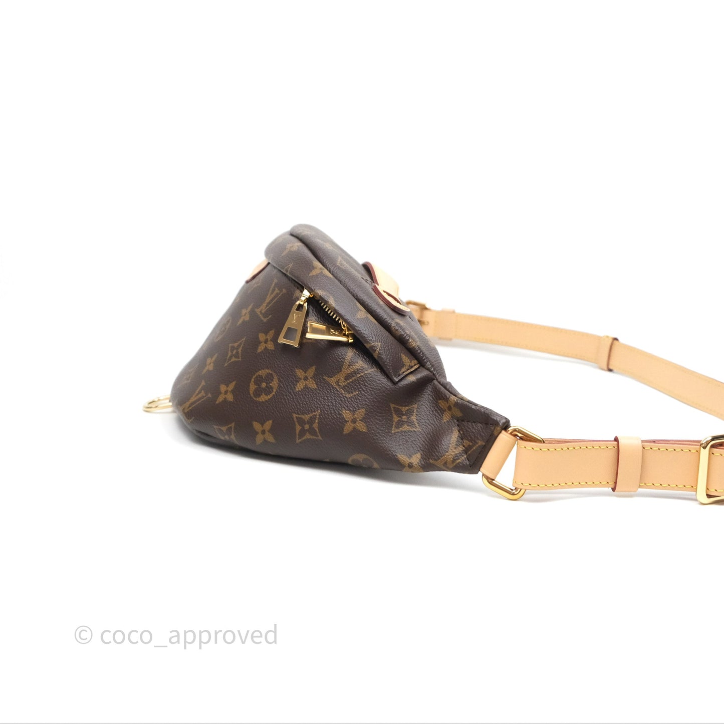 Louis Vuitton Bum Bag Monogram Canvas