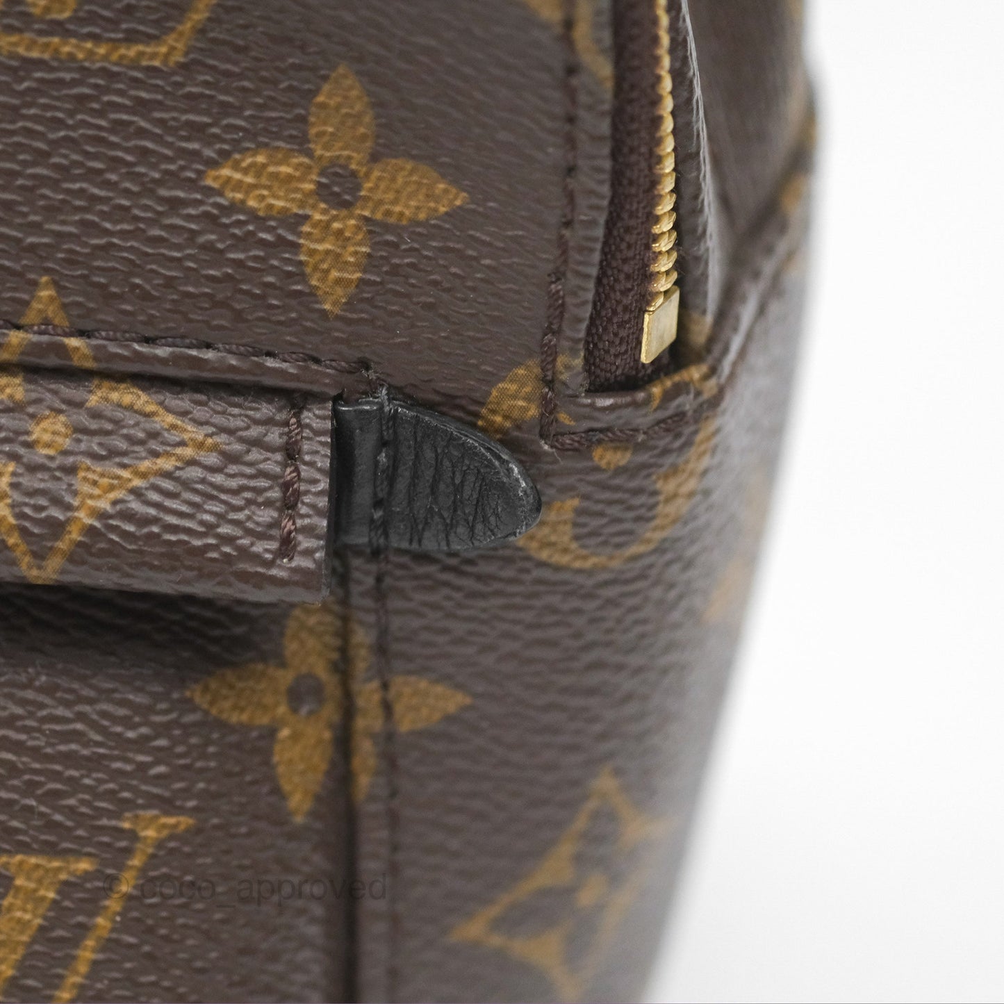 Louis Vuitton Mini Palm Springs Backpack⁣ Monogram
