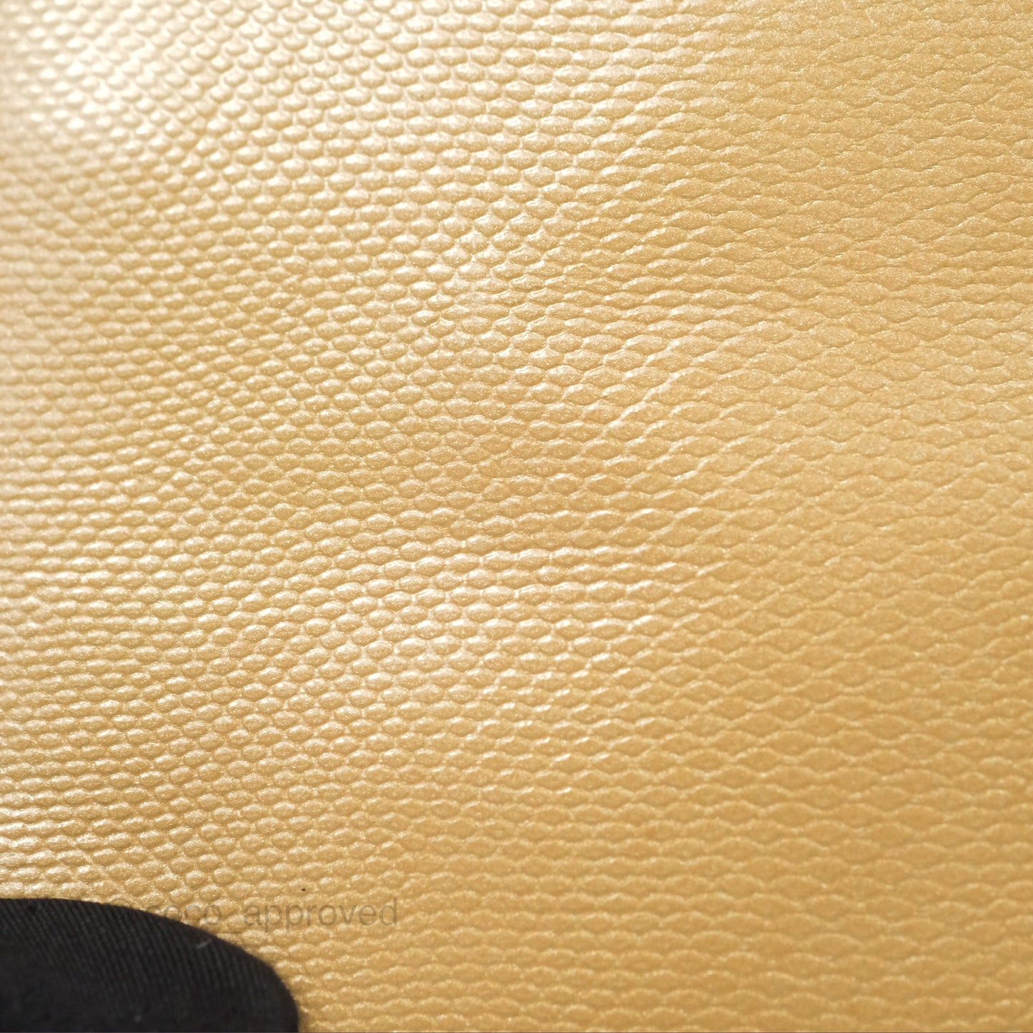 Christian Dior Mini Lady Dior Beige Lizard Gold Hardware