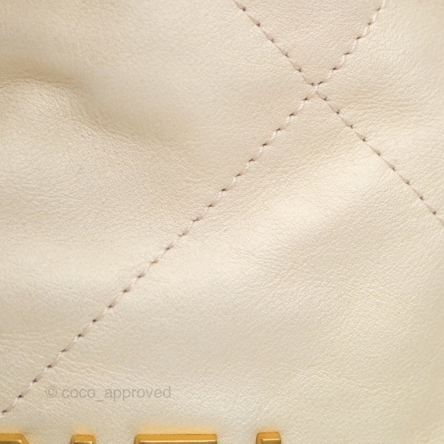 Chanel 22 Mini Bag Iridescent Light Pearly Calfskin Aged Gold Hardware