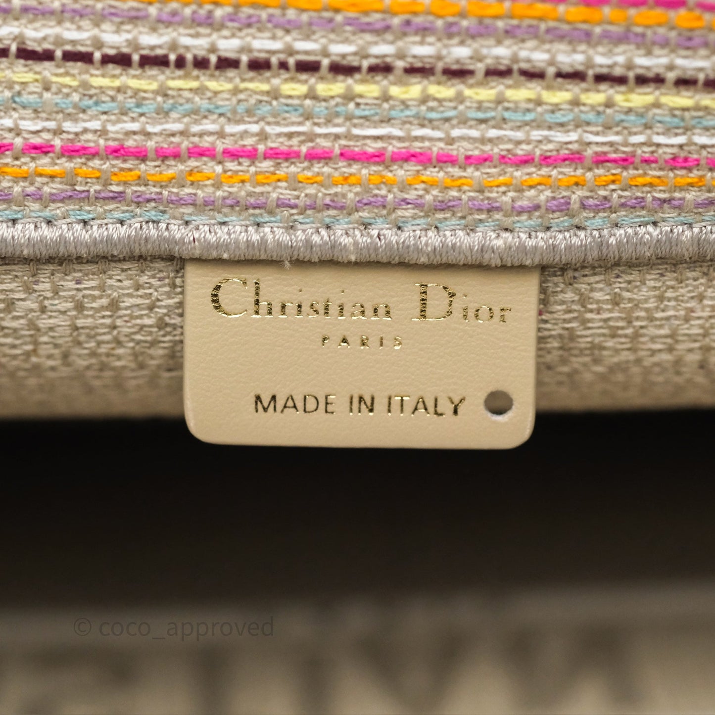 Christian Dior Medium Rainbow Book Tote Canvas