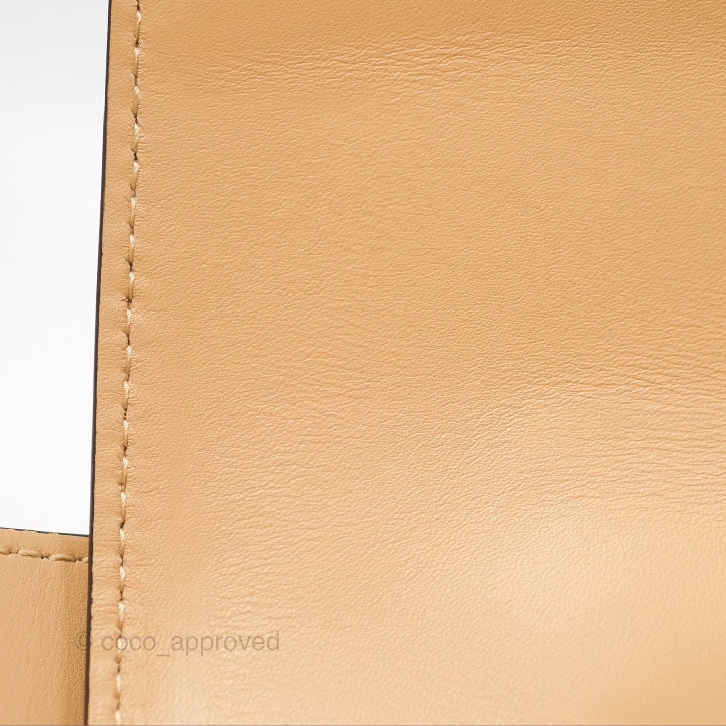 Delvaux Lingot Bag Latte Olen Calfskin