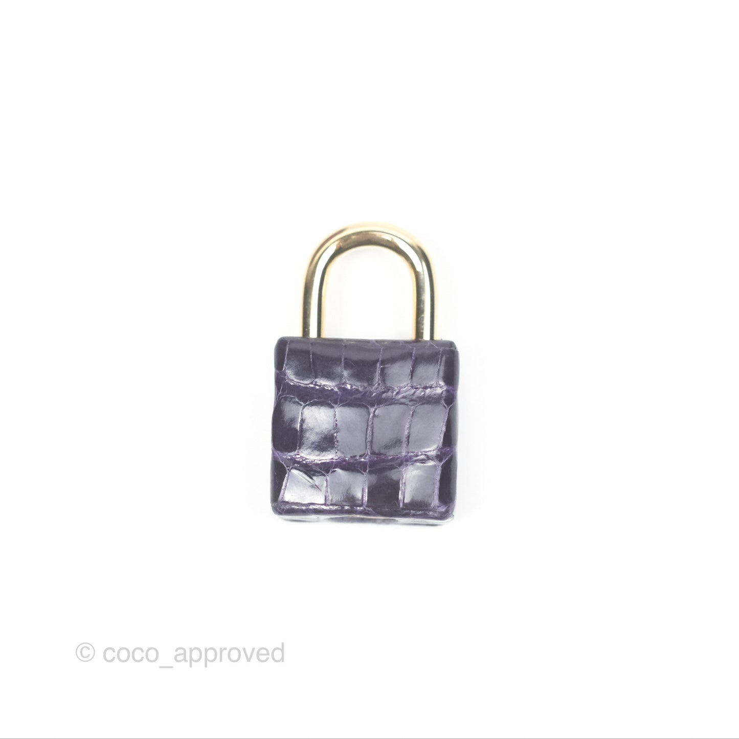 Hermès Kelly 25 Sellier Touch Anemone/ Amethyste Madame/ Croc Gold Hardware