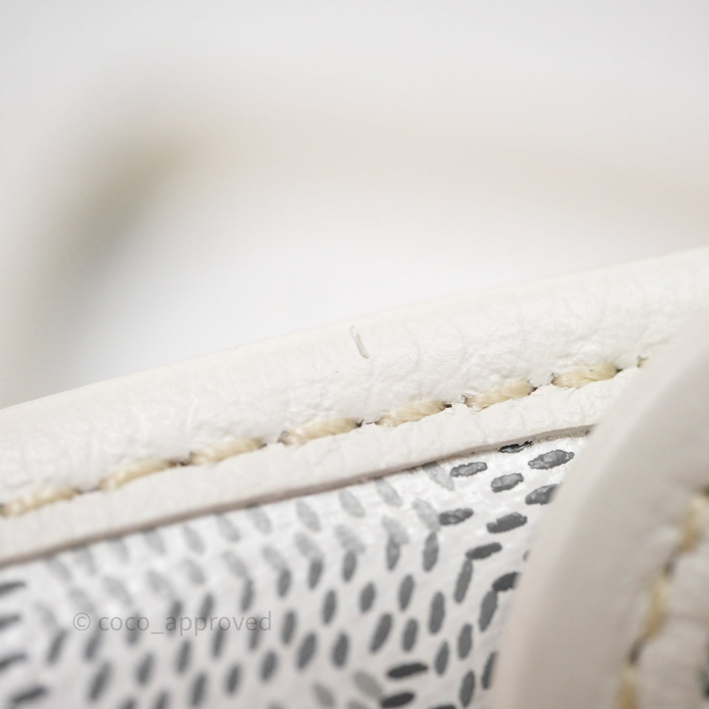 Goyard Bohème Hobo Bag PM White Goyardine Canvas