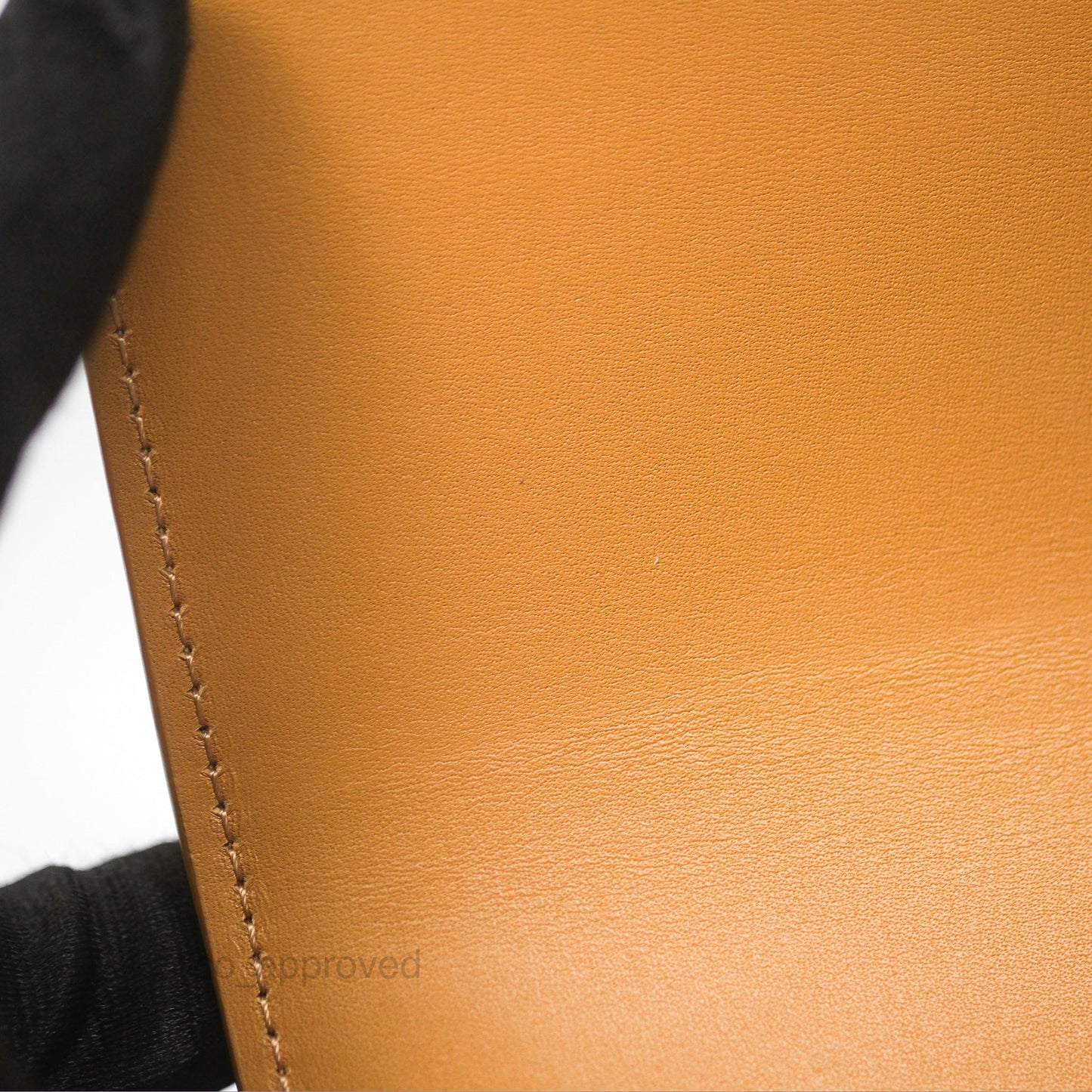 Loewe Small Goya Bag Warm Desert Silk Calfskin