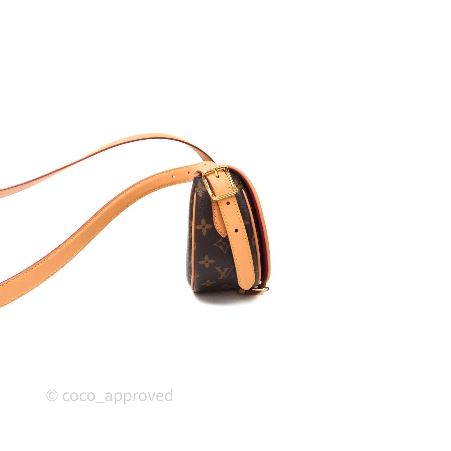 Louis Vuitton Tambourin Monogram Canvas Bag